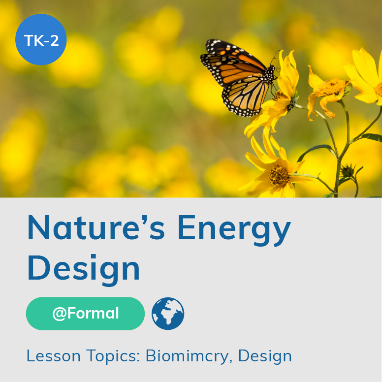 Nature's Energy Design