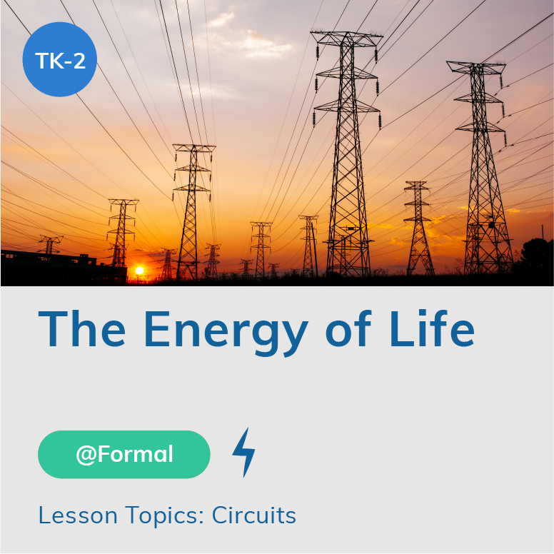 The Energy of Life