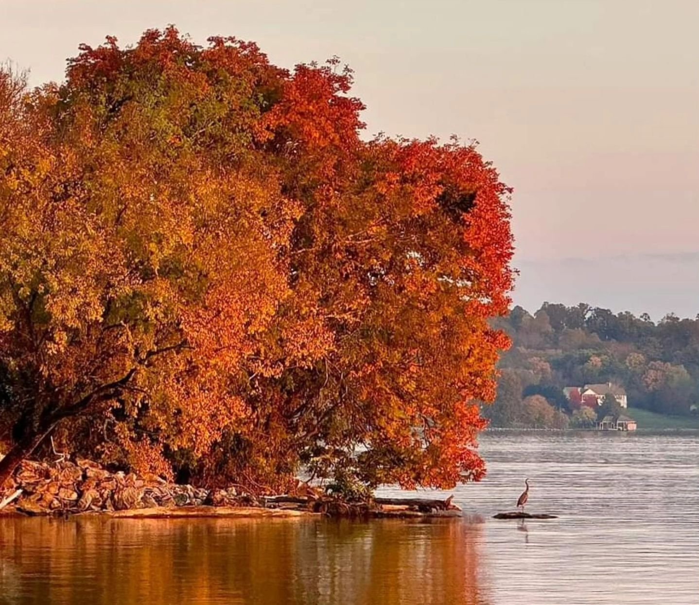 I'm just going to keep posting until there's no more leaves. #ilovefall #tennesseelife