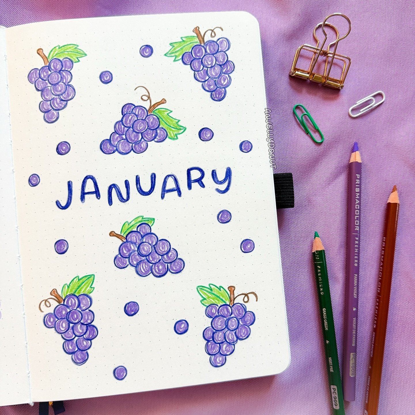 bringing in more good luck with another round fruit for january 🍇🤭 

a much simpler setup than normal tbh! it's the start of my 6th year bullet journaling and the biggest debate was whether i keep going or try out a different planning method. at th