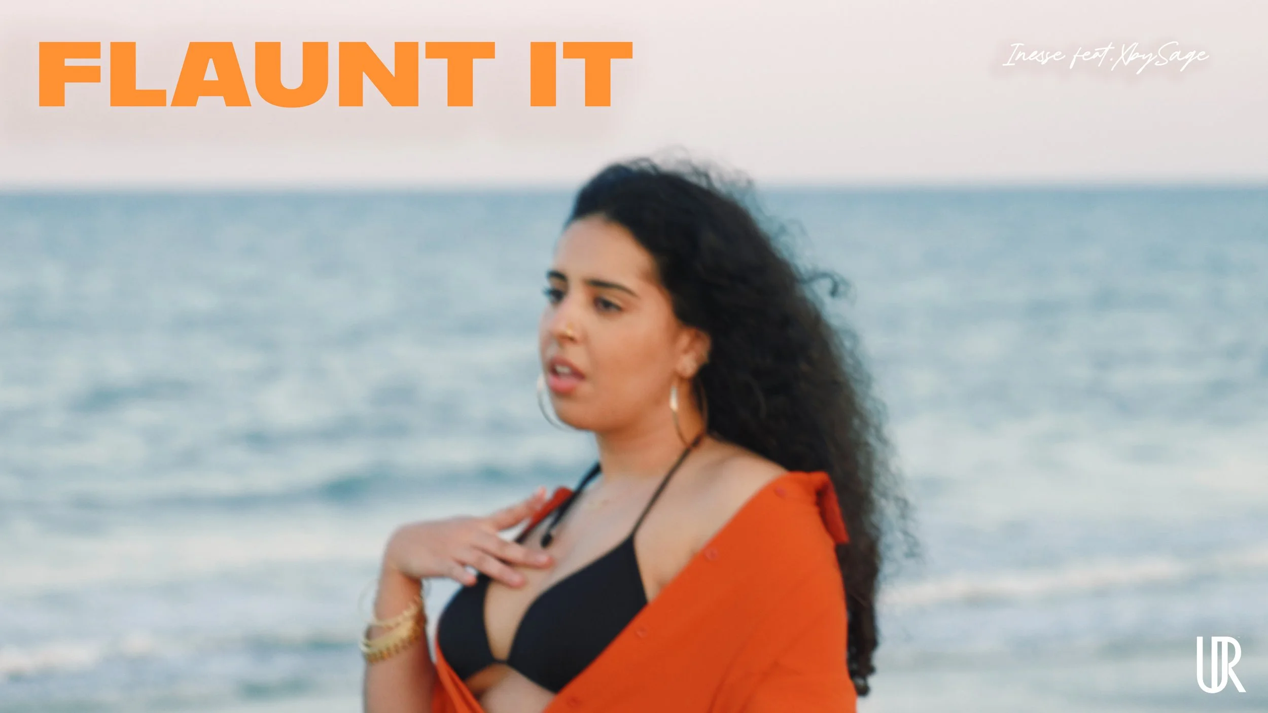 Flaunt It Video Cover