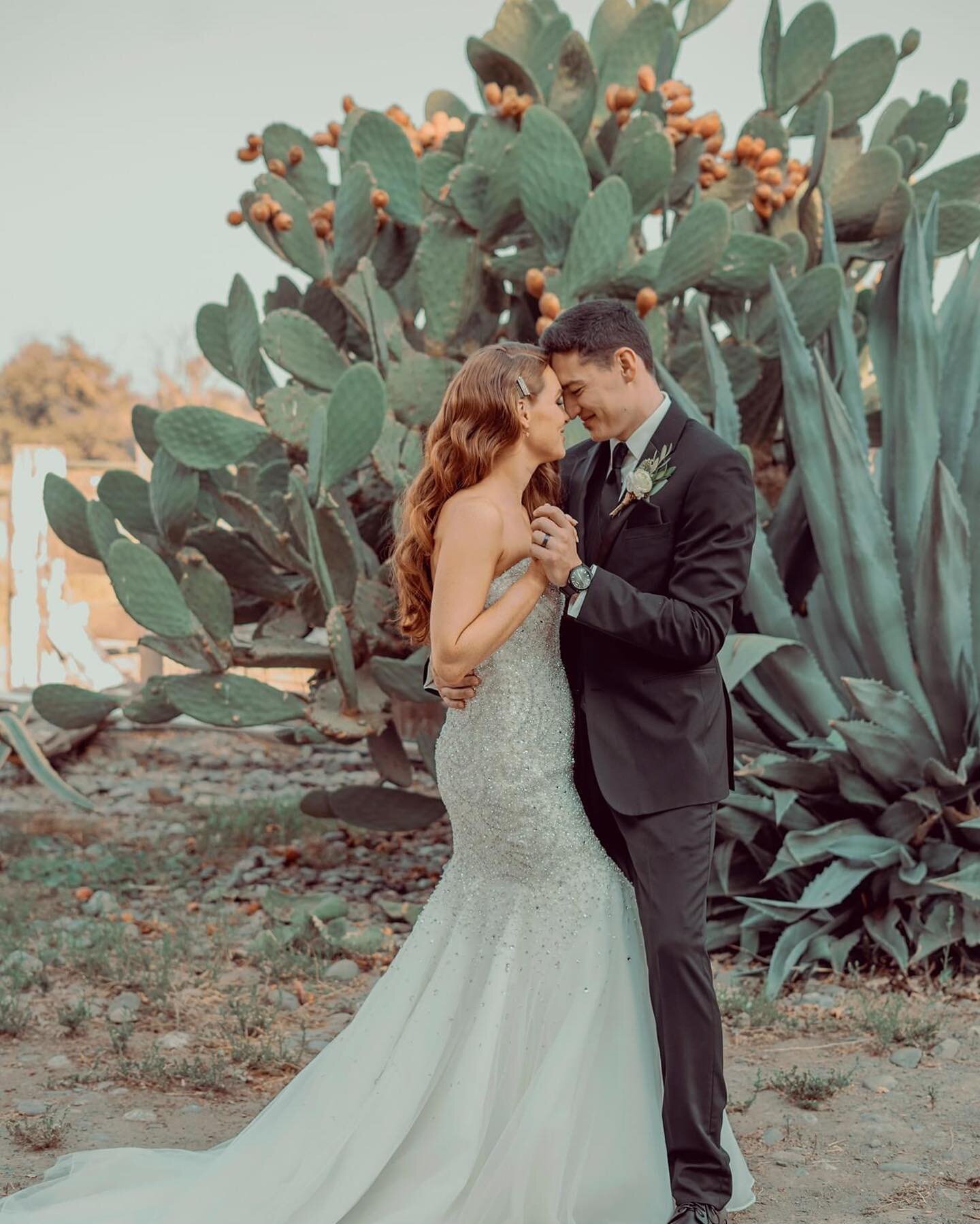 Can't help falling in love 🎶 #TheMaples 📸: @dreamcaptureweddingphoto 

Coordination: @joyeuxevents 
&bull;
&bull;
&bull;
#weddingday  #loveislove #fallwedding #springwedding #summerwedding #northerncaliforniawedding #woodlandwedding #elopement #mic