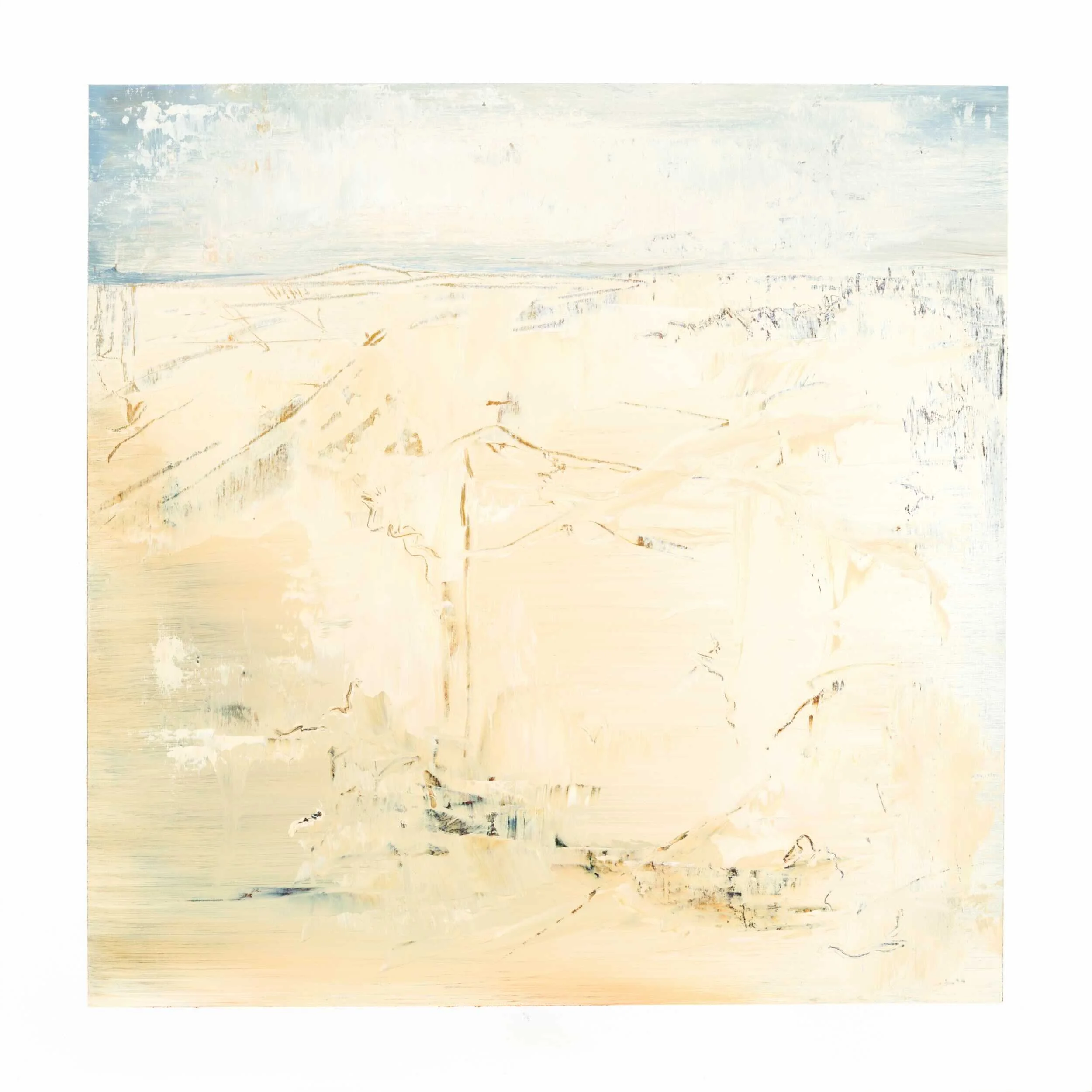 Vaughan Williams Lark Ascending.jpeg