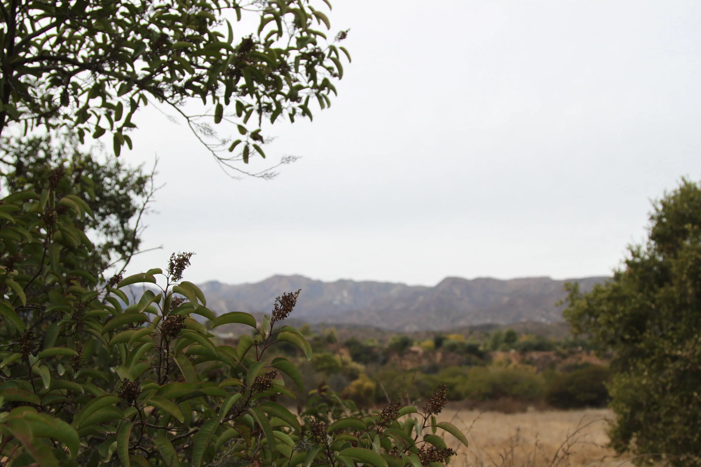 A Lasting Impact Leaves A Legacy 