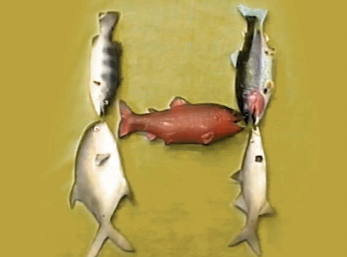 You Should Know This