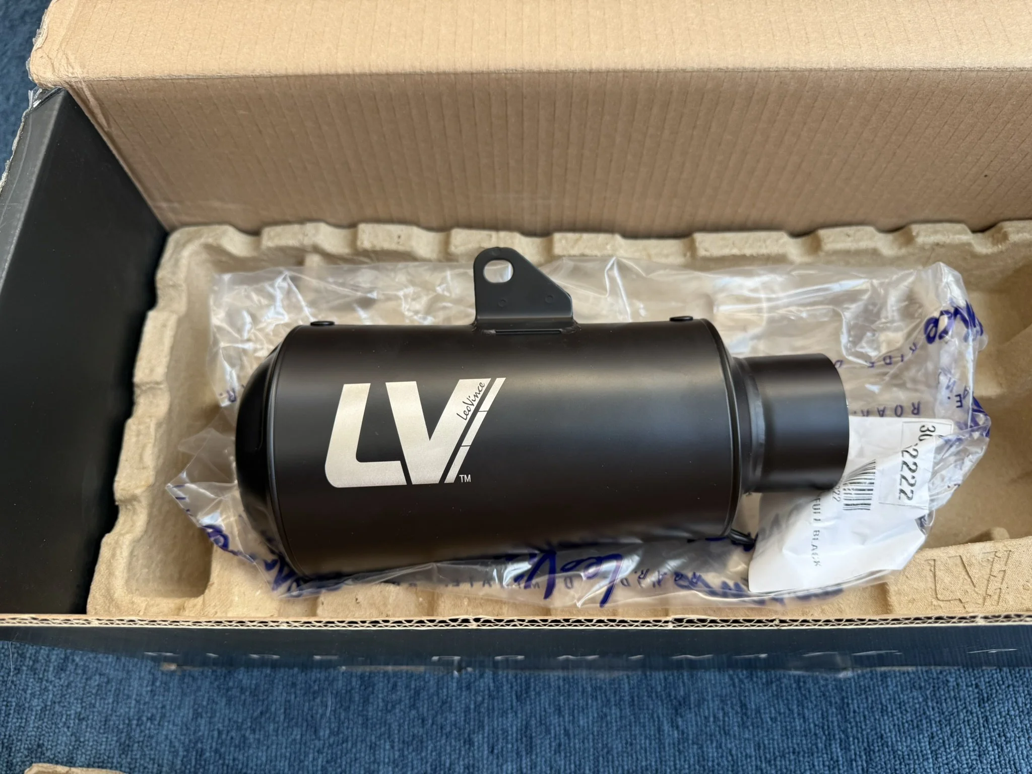 IMG_6008.JPEG