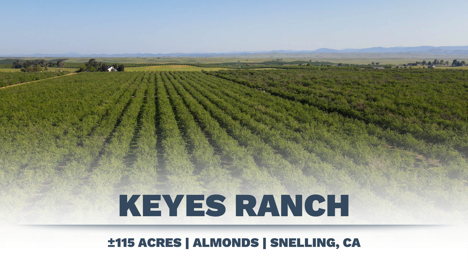 Central Valley Agricultural Real Estate & Financial Consulting