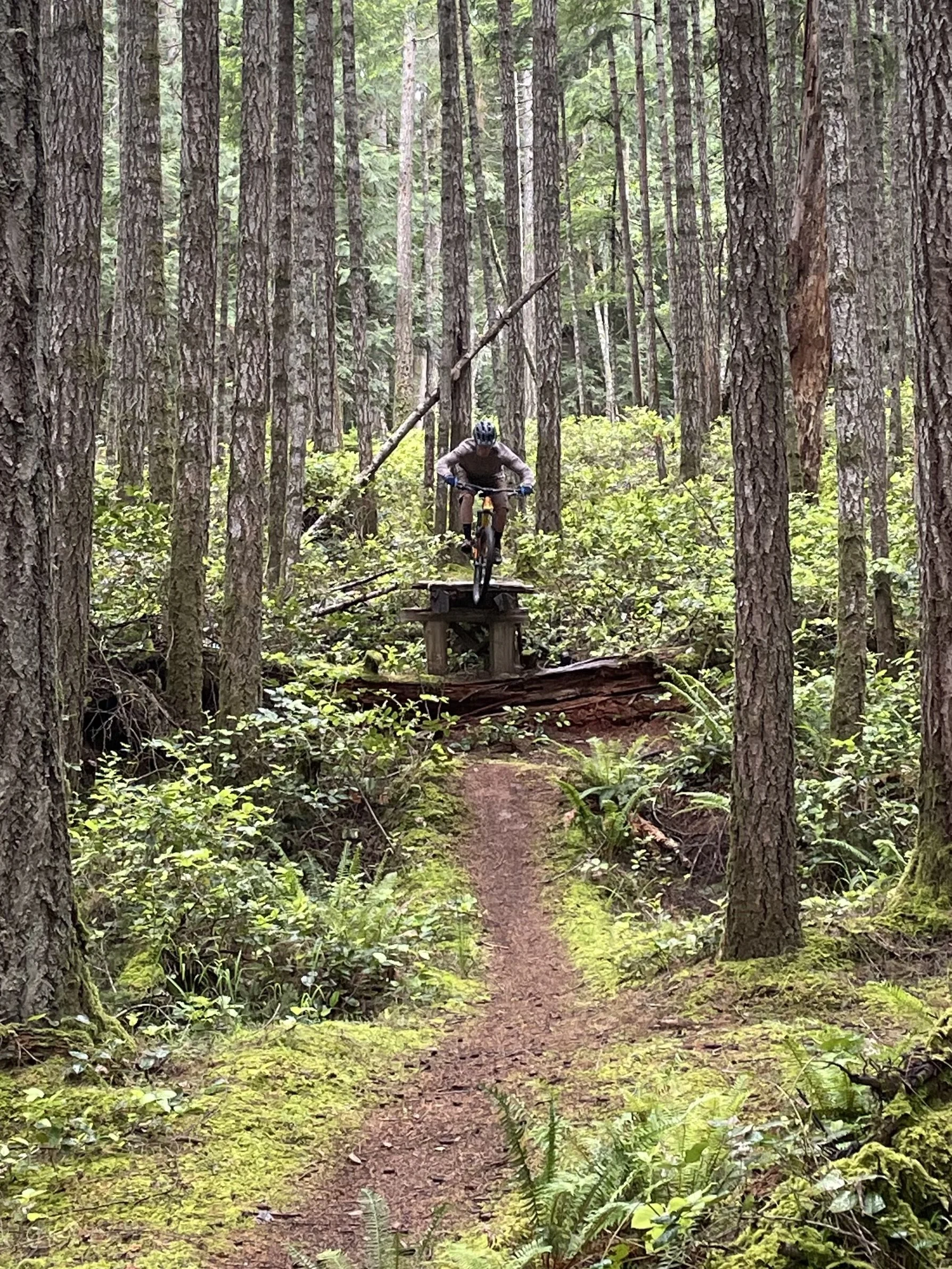 Whistler in May: Show up Now