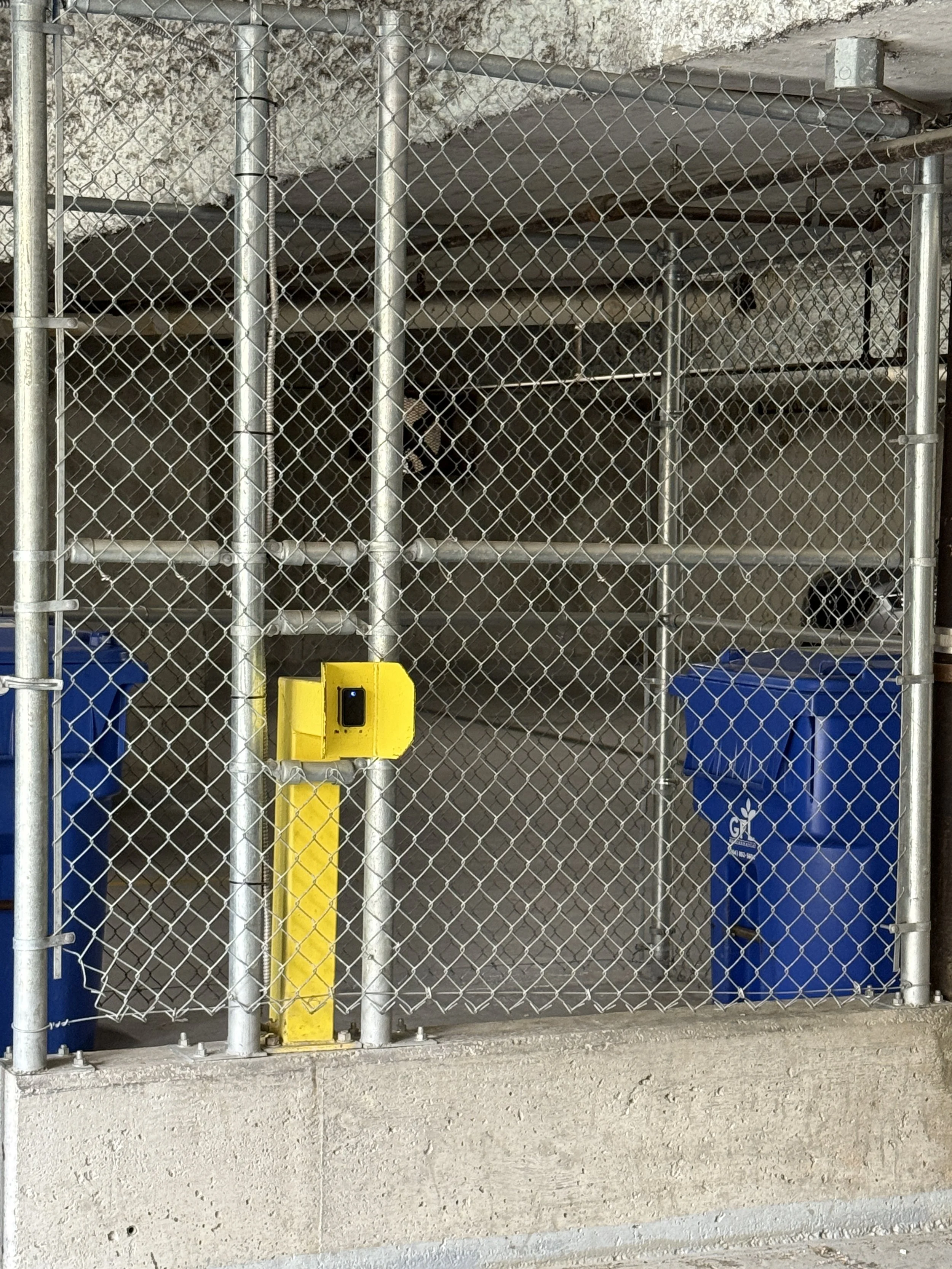 A gated area with chain link fencing, a yellow security camera mounted on a yellow pole, and two blue recycling bins. The background shows a concrete wall.