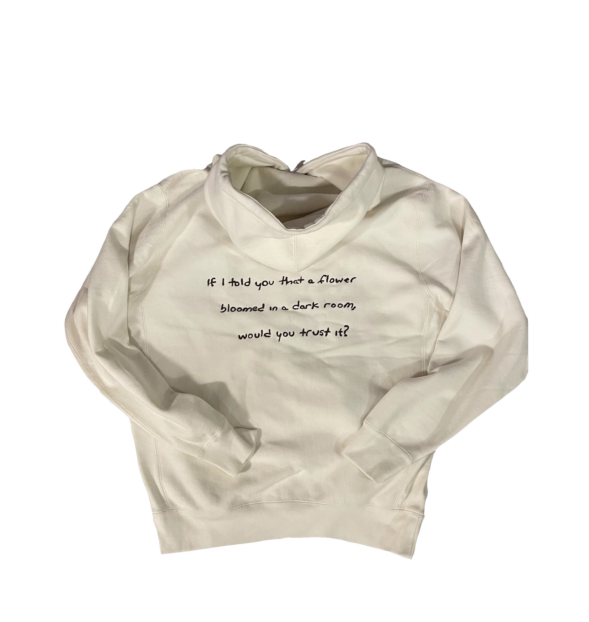 ecom_0005_lv-hoodie-2.jpg