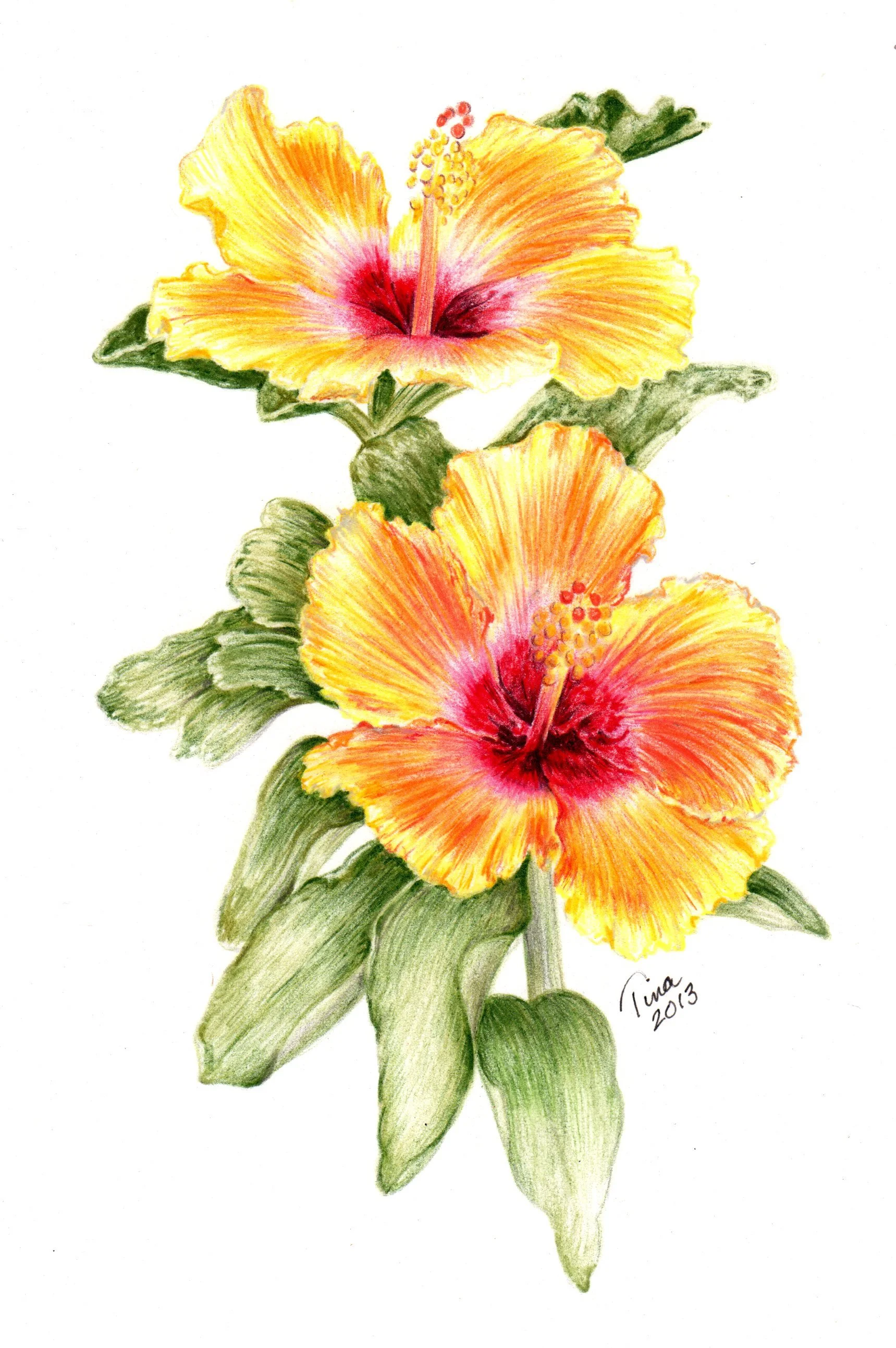 Onterio Sunrise Colored Pencil 8"x10"