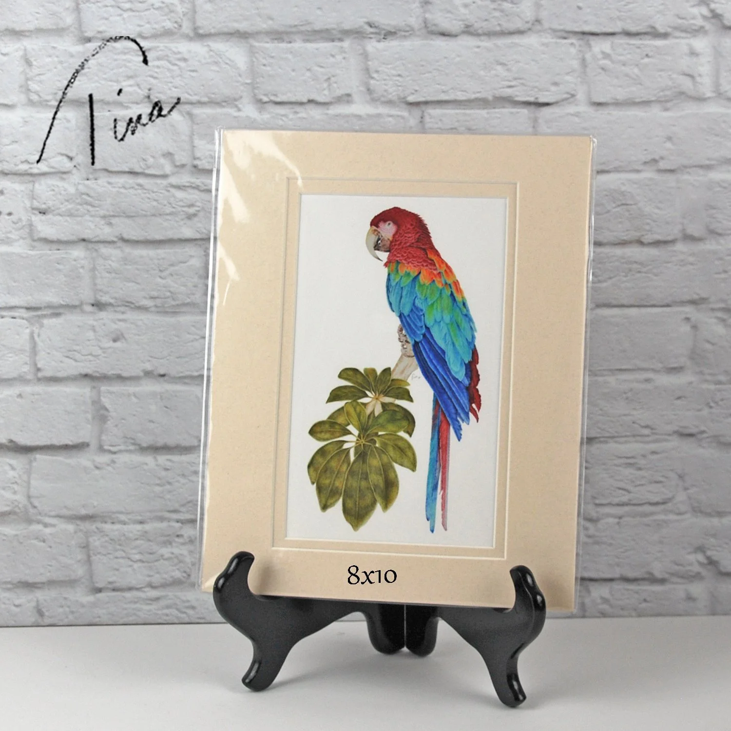 popinjay 8x10 print.jpg