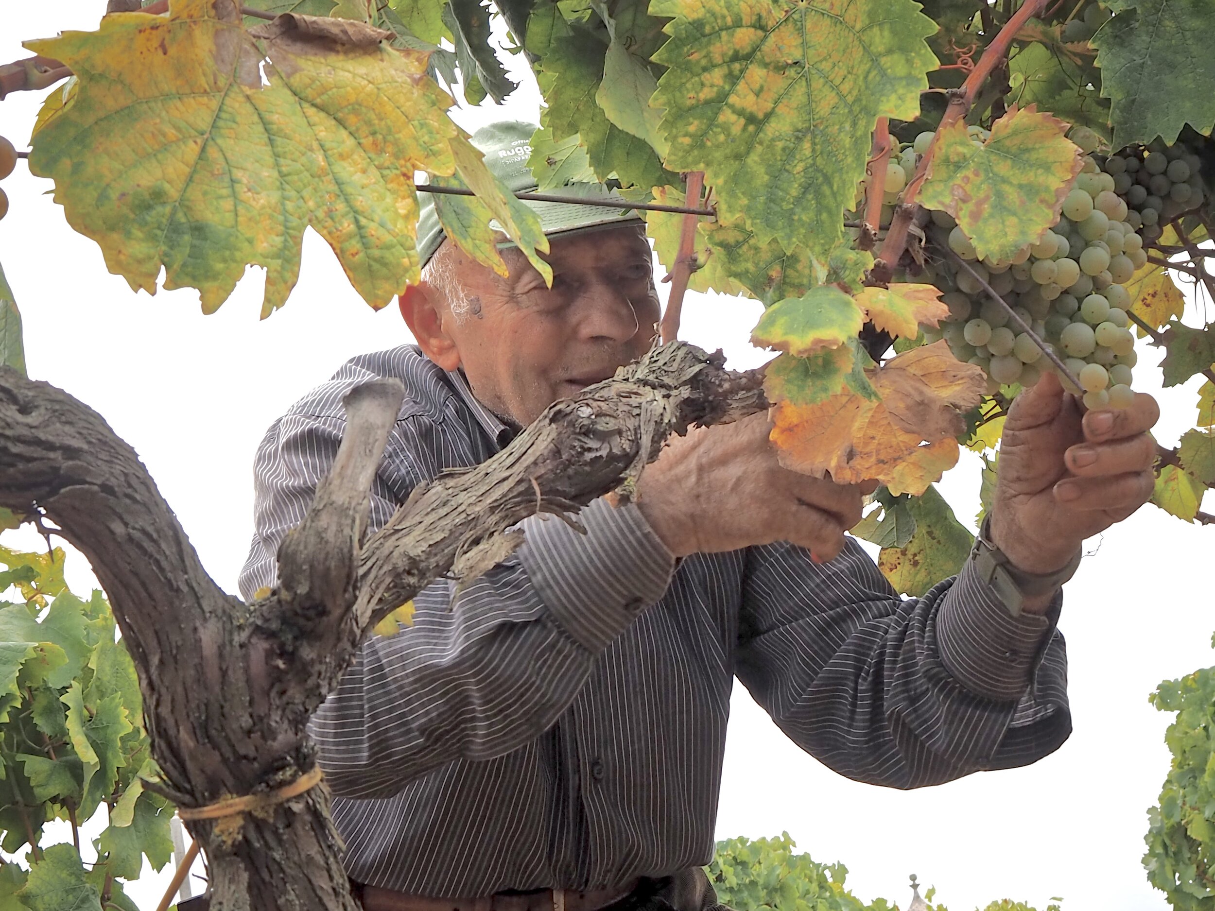 On the Brink and Back on Puglia’s Great White Plateau