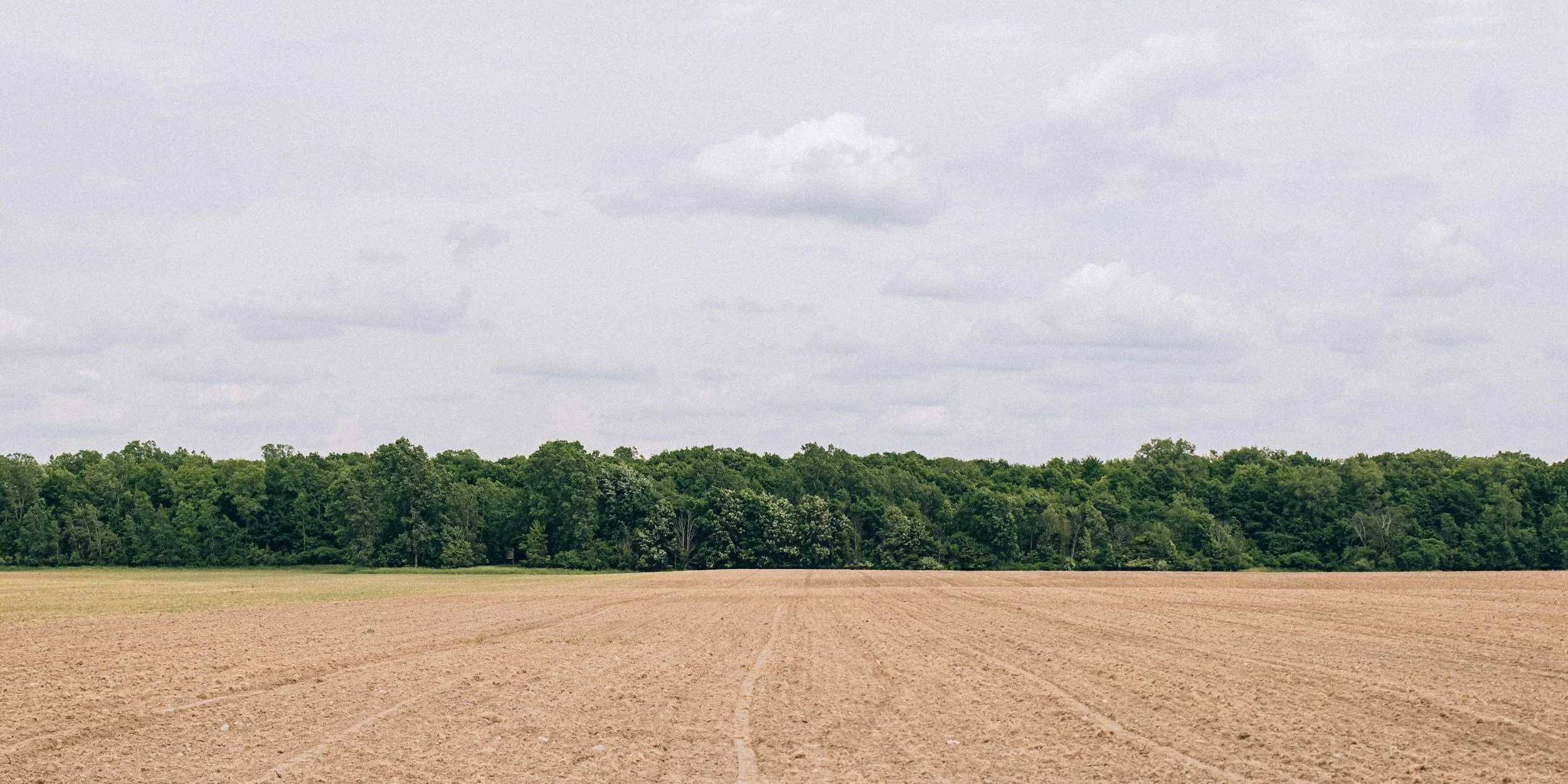 Three Steps to Complete Notice of Intent for Michigan’s MMP