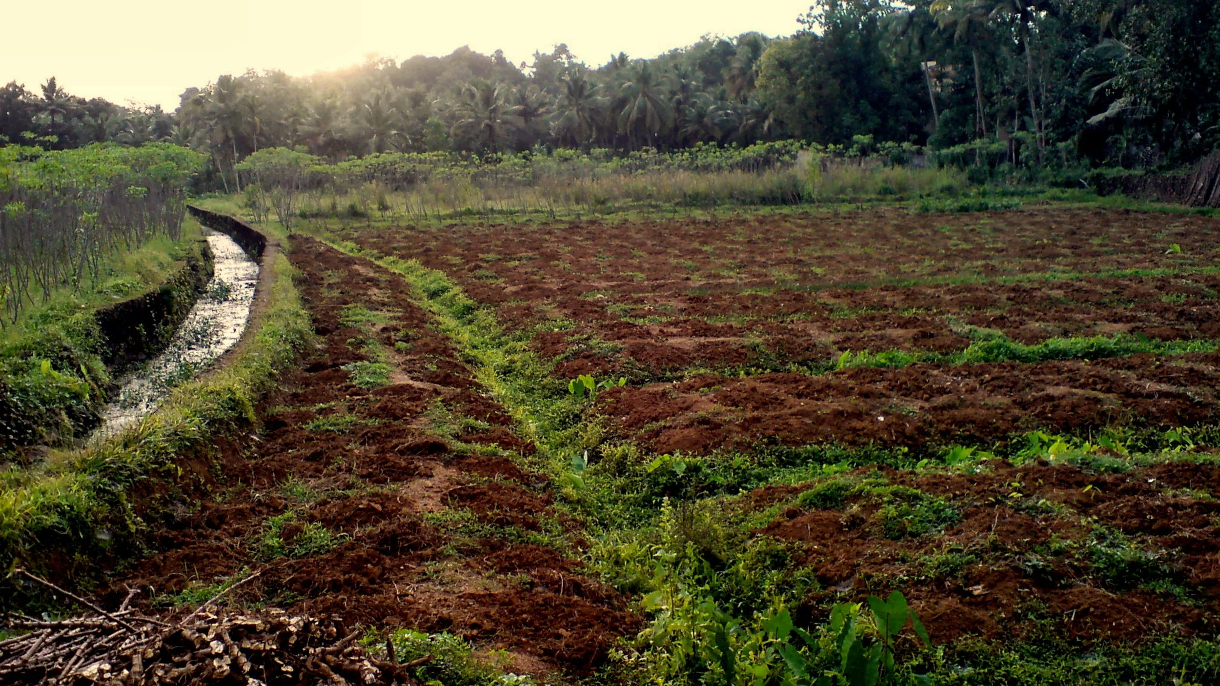 The Biggest Opportunity for Waste Reduction is Organics