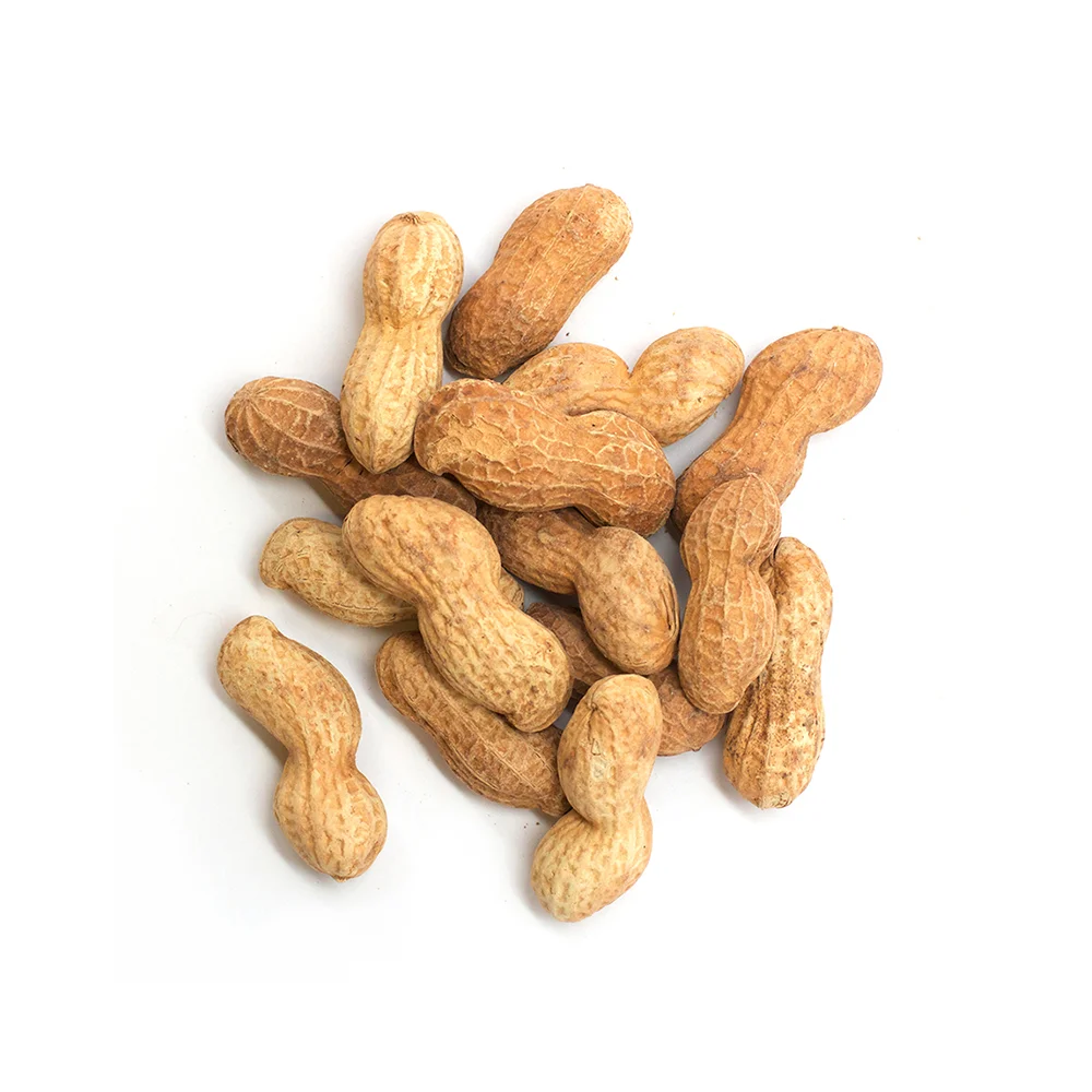 Jumbo Inshell Peanuts,  Unsalted, Salted, and Robust Roasted Salted - 12oz or Bulk