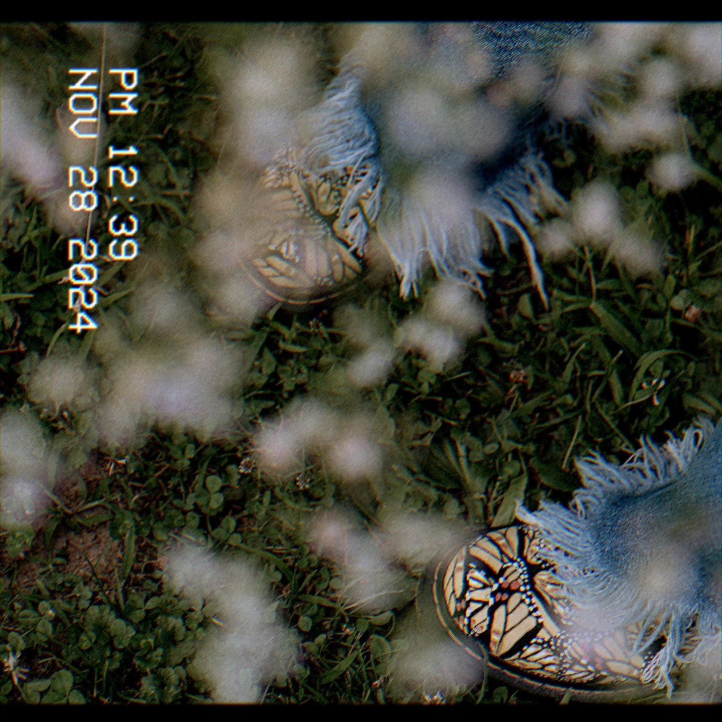 All The Flowers (Autumn Version) by @feels.like.honey &amp; @graysonjarvismusic is available everywhere now. Grateful for you and thanks for listening.🍂🖤