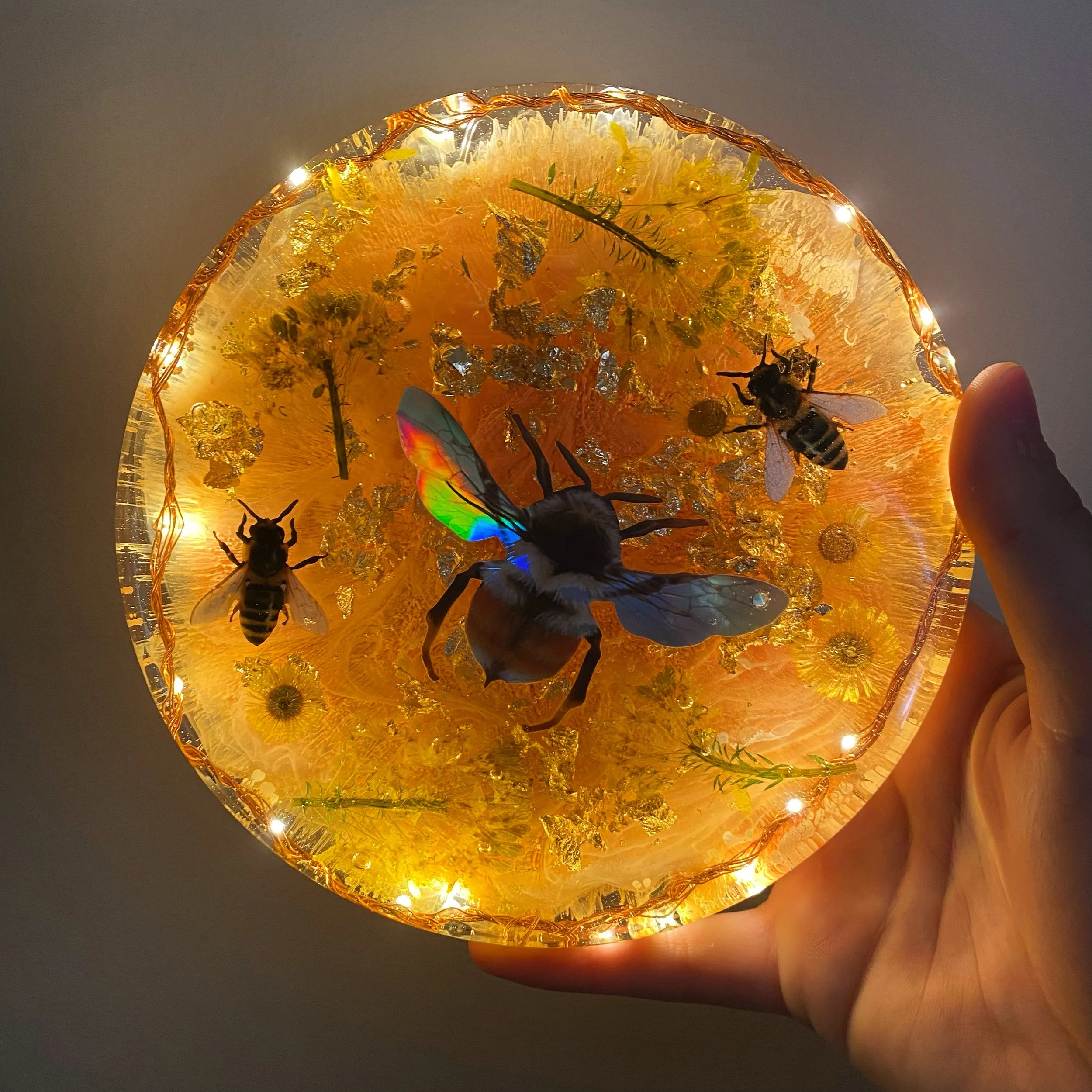 D593A62C-68AB-4AAA-89FE-796BCF56BC82 2.JPG