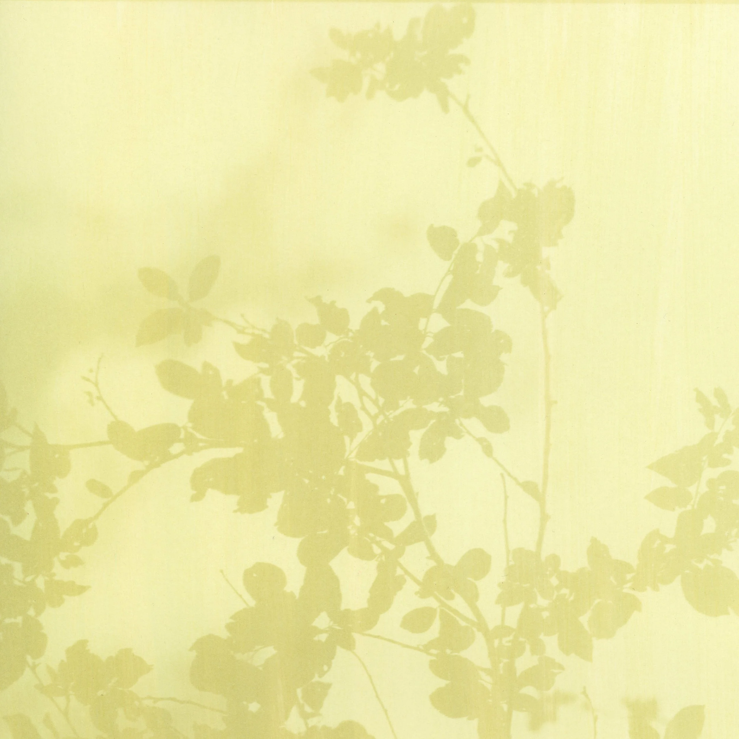 solsol digital art license