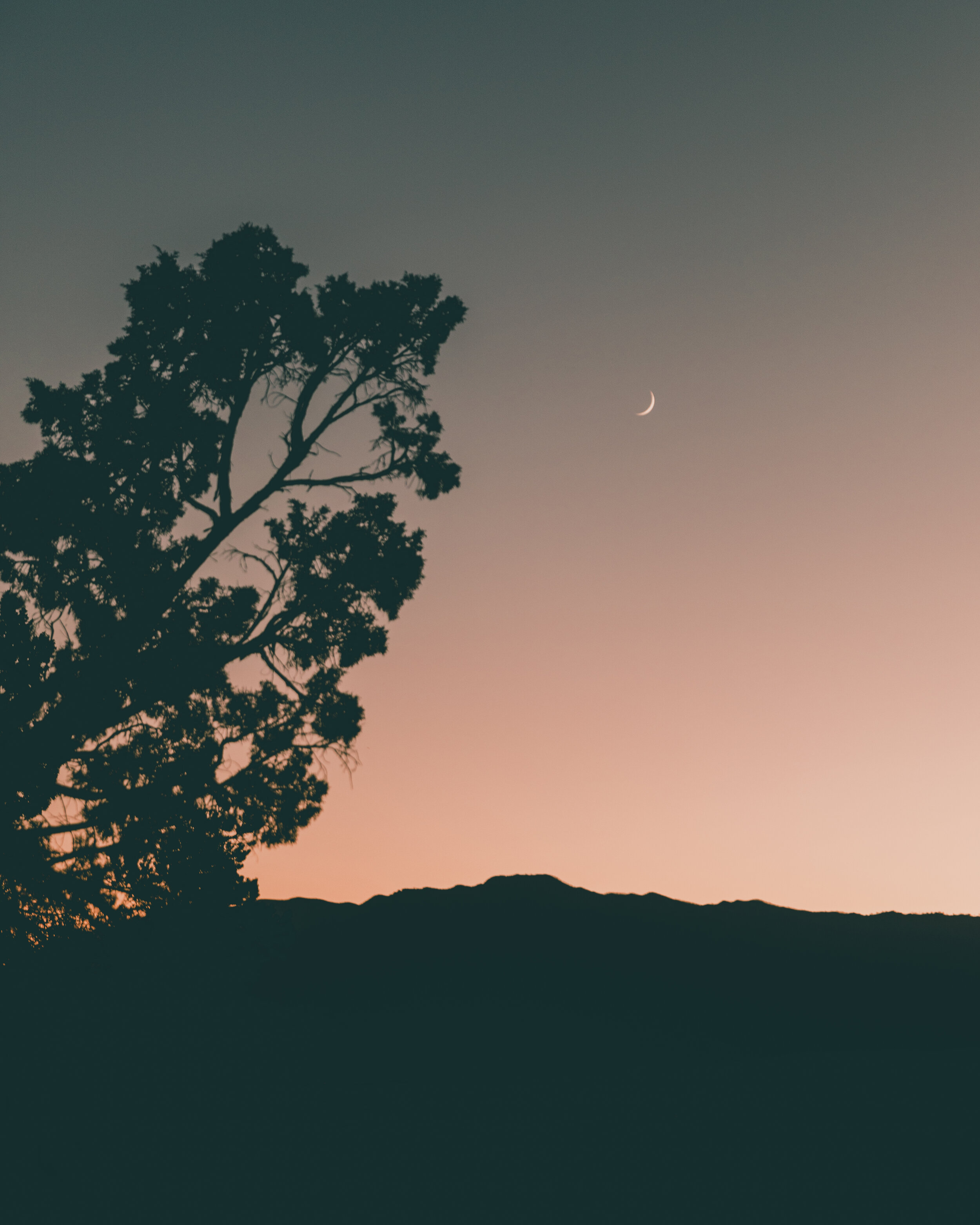 Desert Moon