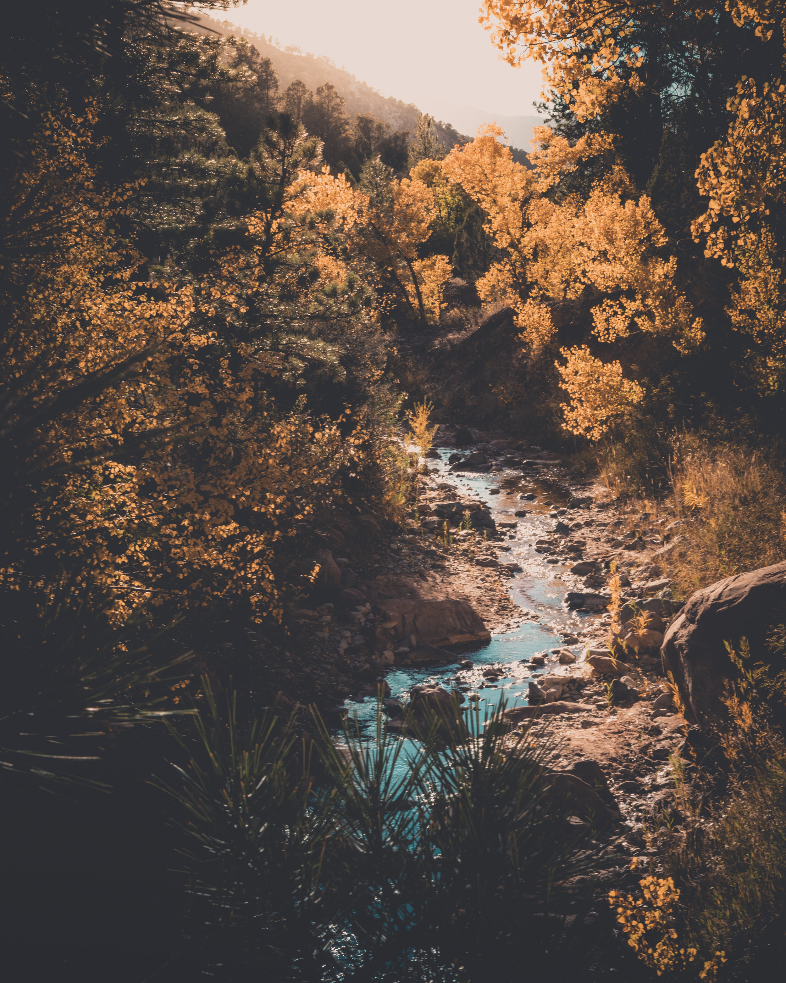 Zions Eden.jpg