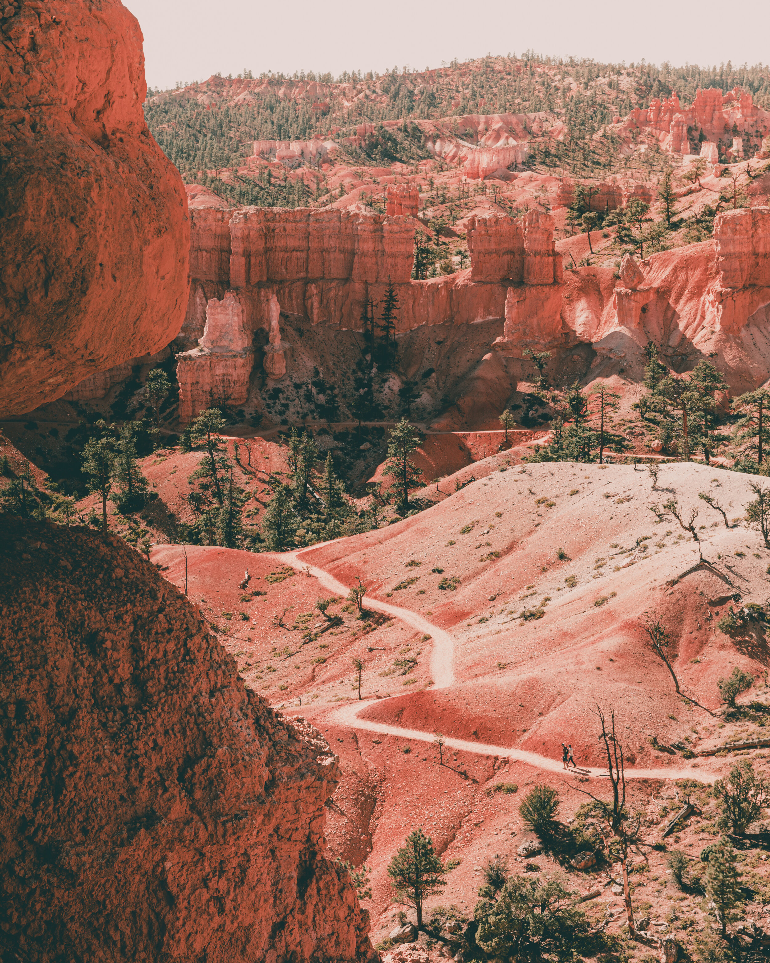 Bryce-17medres.jpg