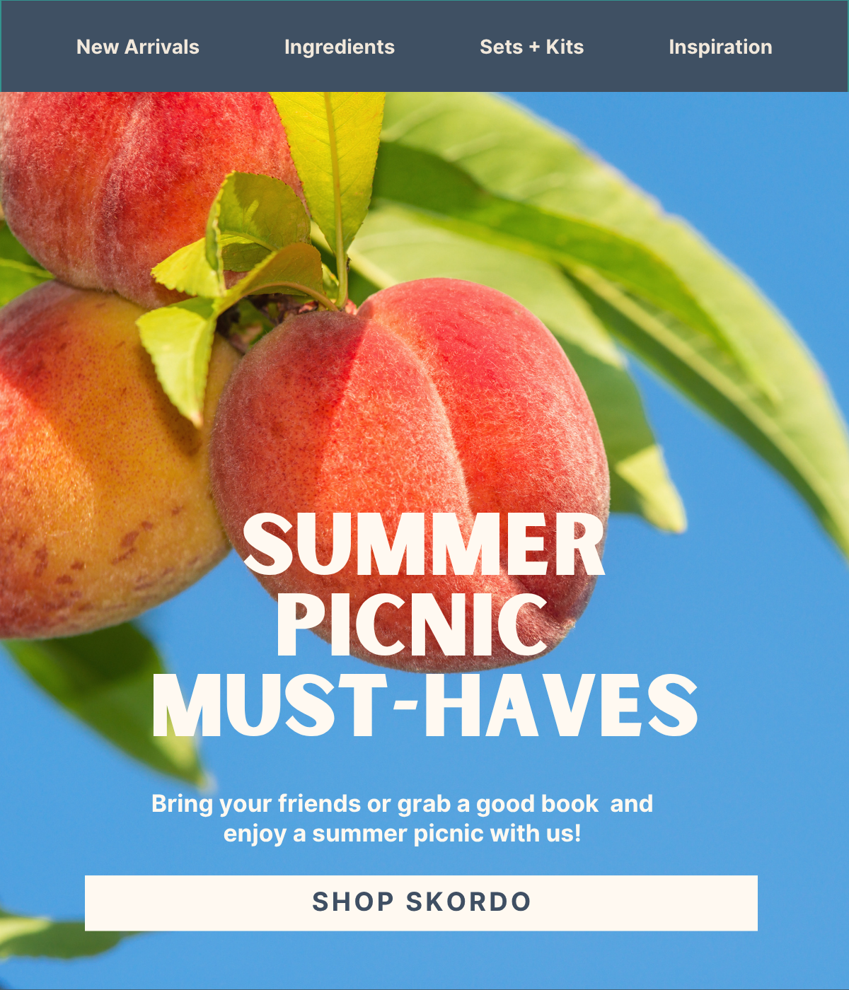 SKORDO Picnic.png