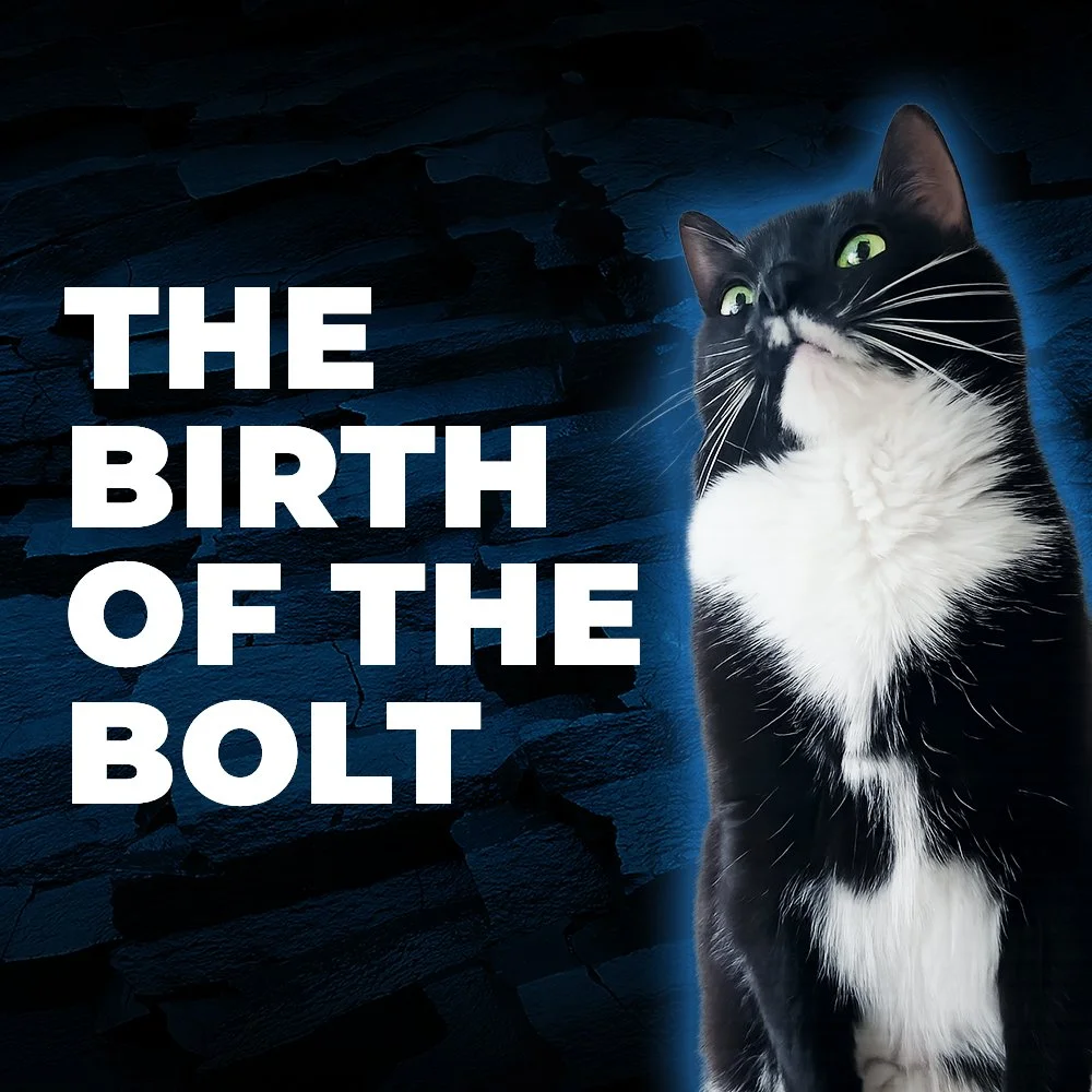 THE BIRTH OF THE BOLT