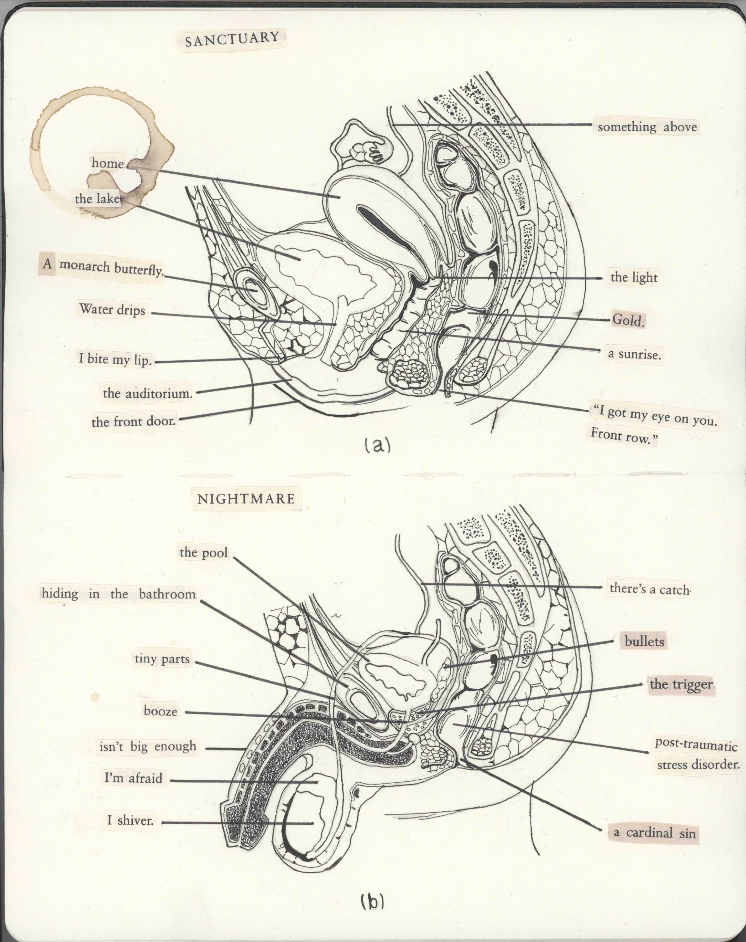 Diagram 1 / Diagram 2
Mixed media (ink, paper cutouts)
2026

Things tend to happen at the right time, and this one was one of them, I have been very keen on taking a parallel approach to the work that relies on my skill to get a likeness and start a 