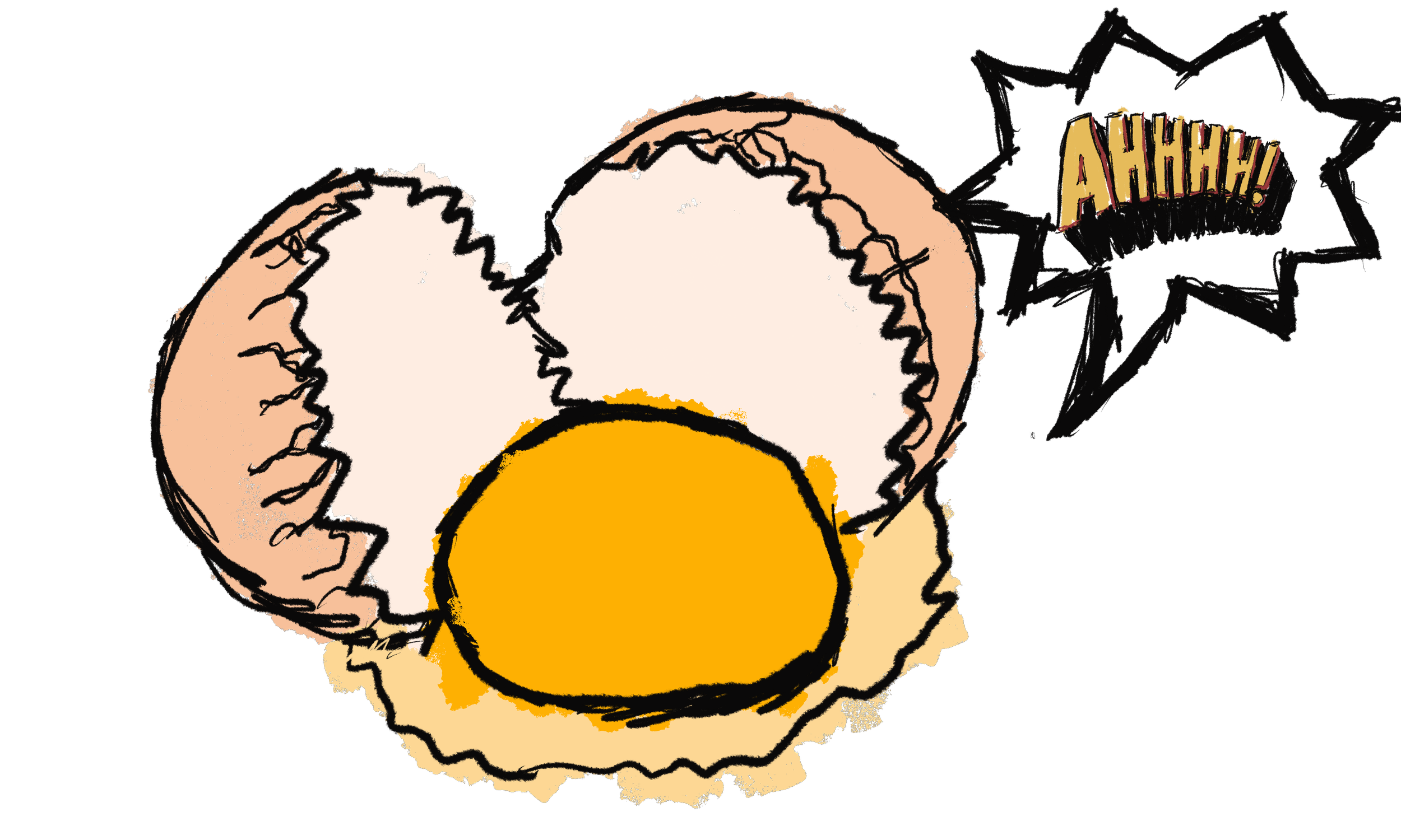 IMG_2307.PNG