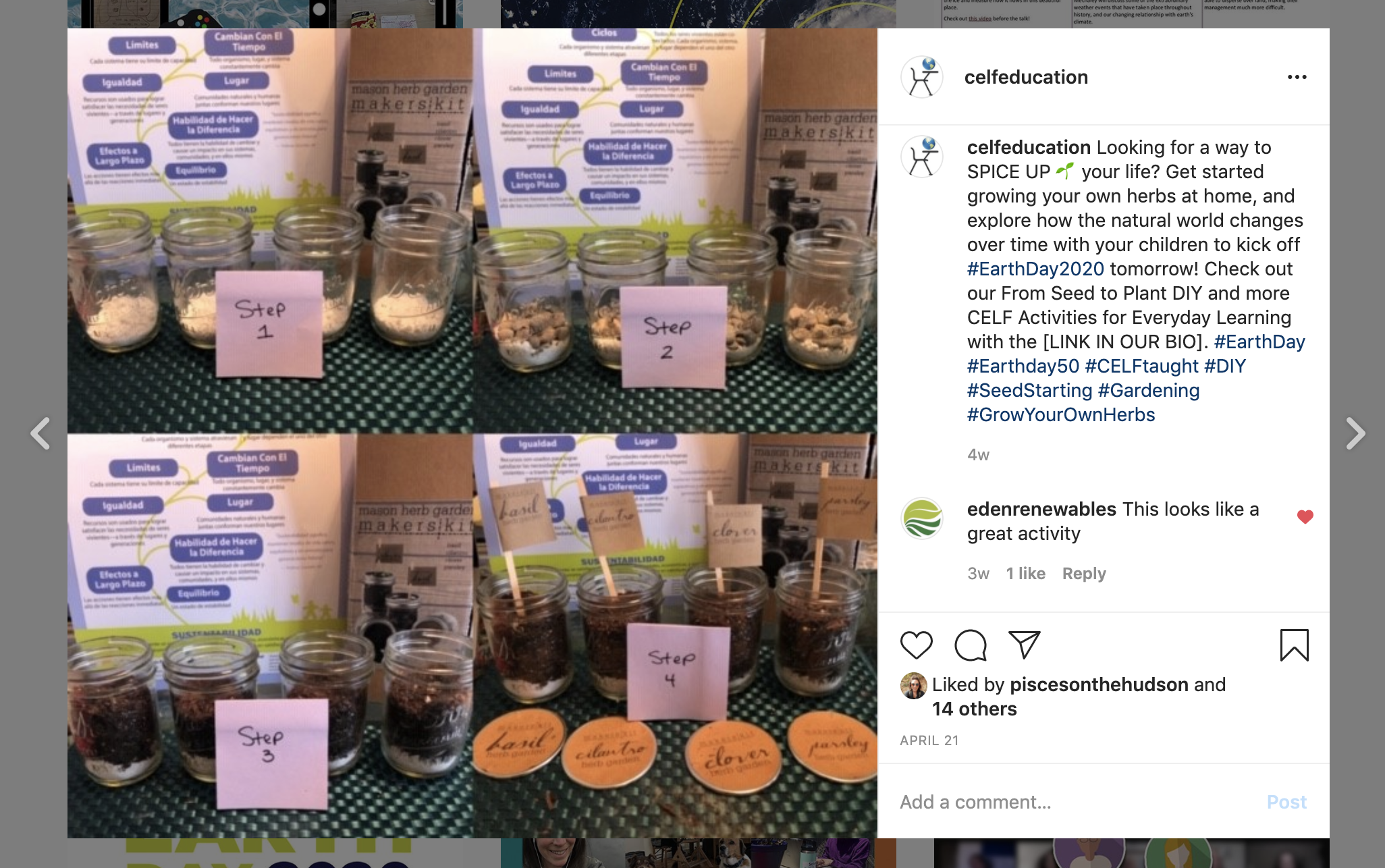 Seed Activity (Instagram).png