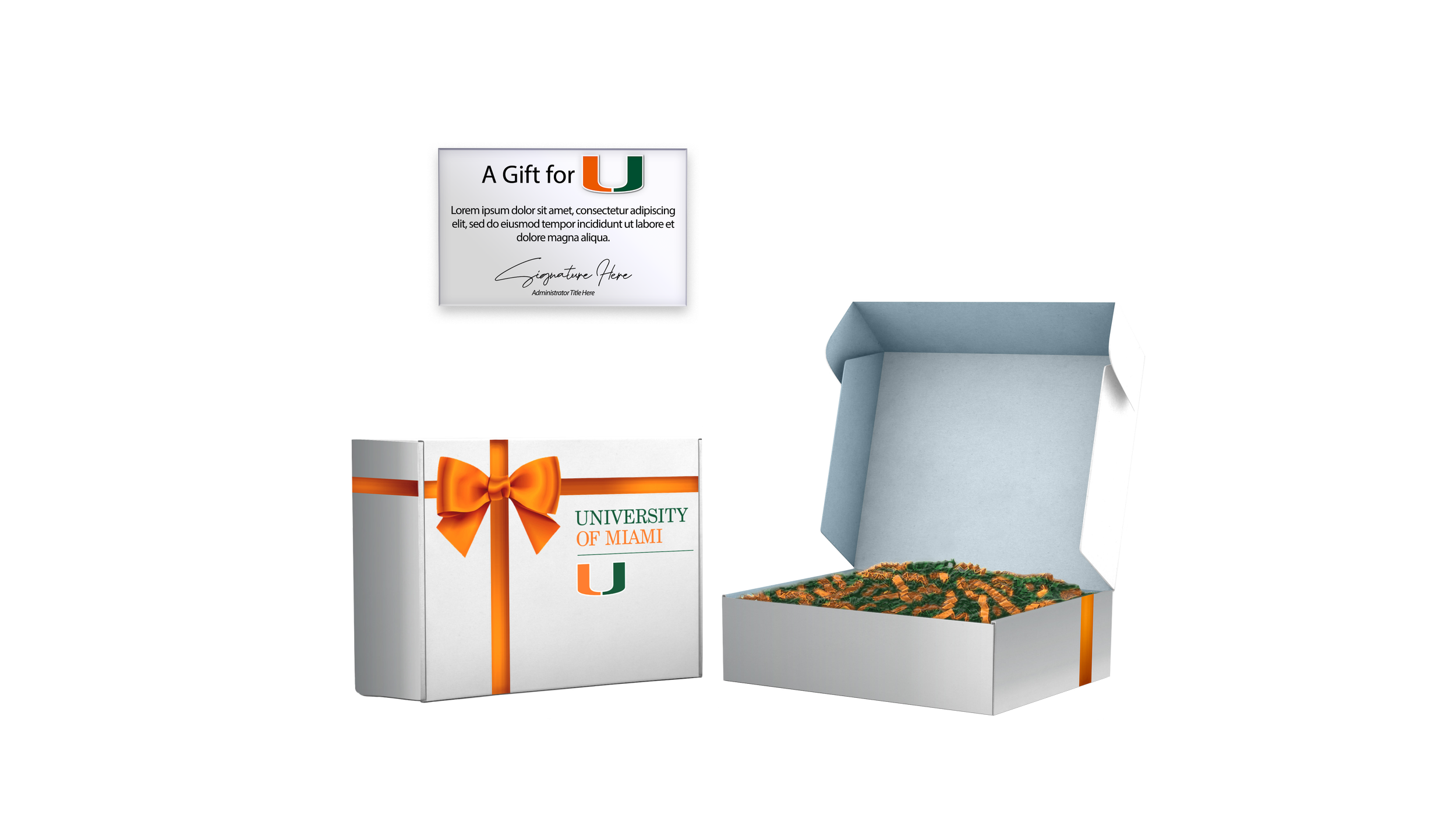 UMiami Box & Light.png