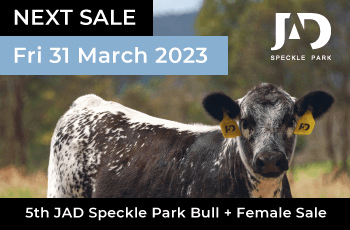 5th JAD Speckle Park Bull + Female Sale — Speckle Park International