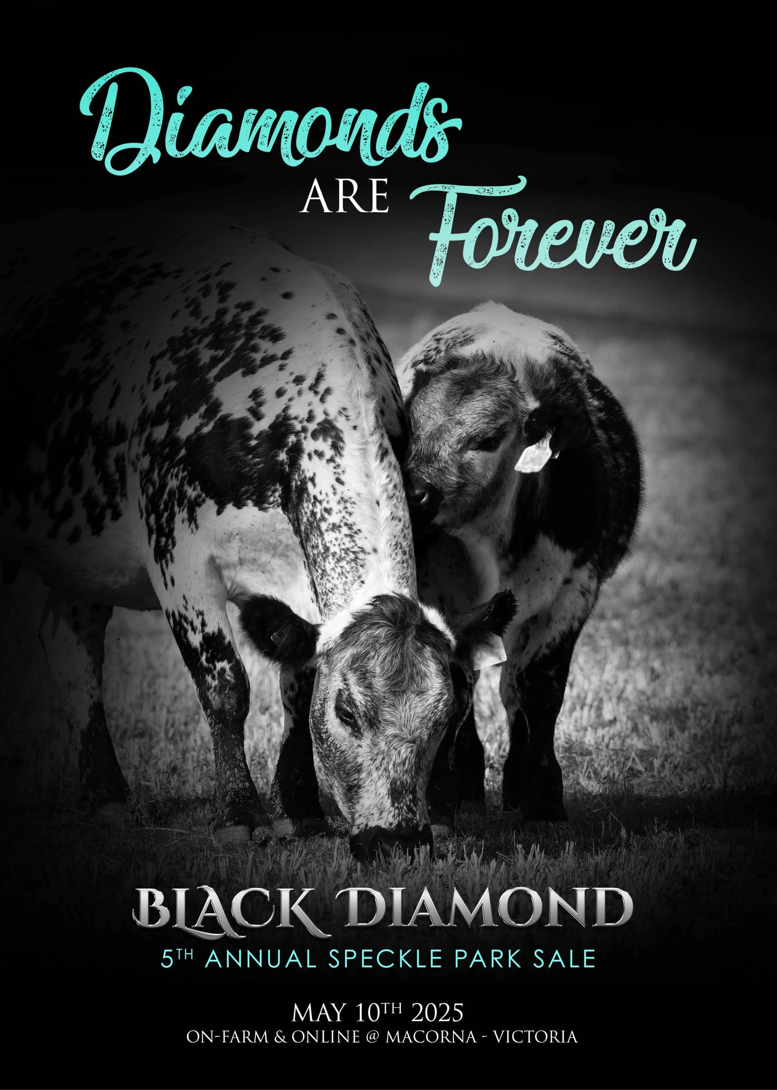 Black Diamond Speckle Parks "Diamond's Are Forever" sale