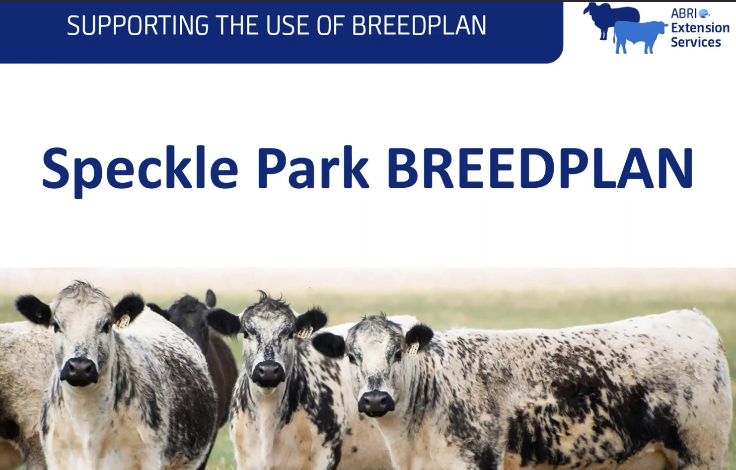 SPI BREEDPLAN Webinar