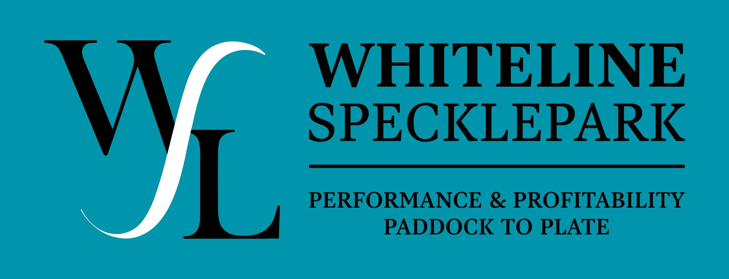 Whiteline Speckle Park  -  Foundations for the Future – Performance Bull, Female and Genetic Sale