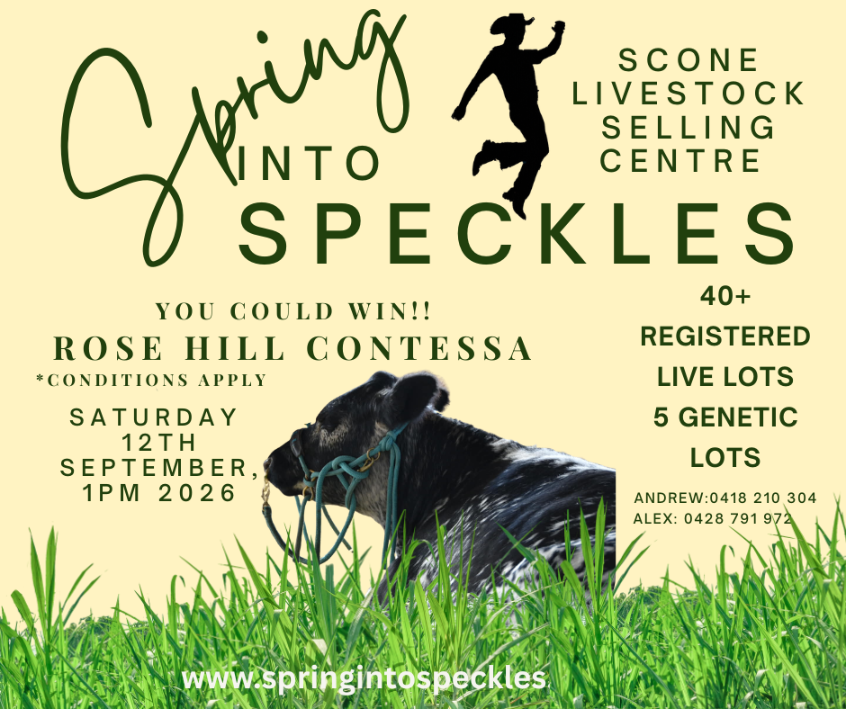 Spring into Speckles Sale