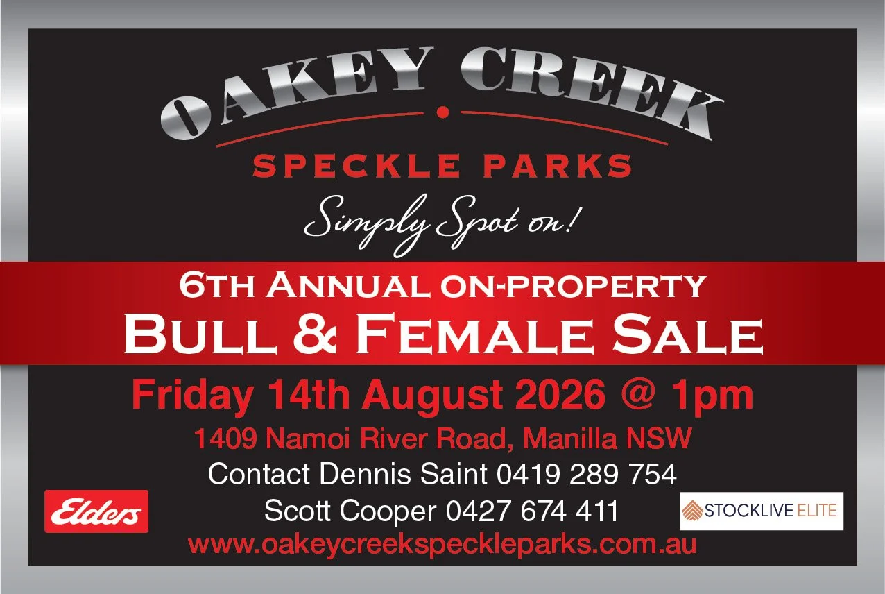 Oakey Creek Speckle Parks Annual Bull &amp; Female Sale 