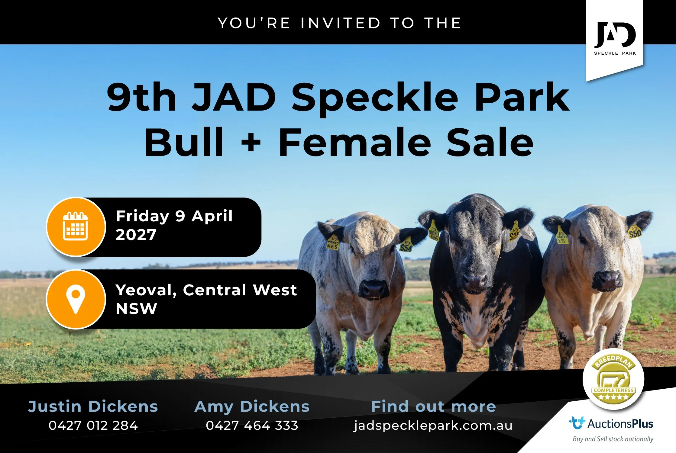 9th JAD Speckle Park Bull + Female Sale
