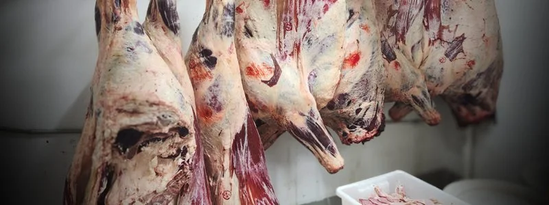 CarcaseComp--carcase.jpg