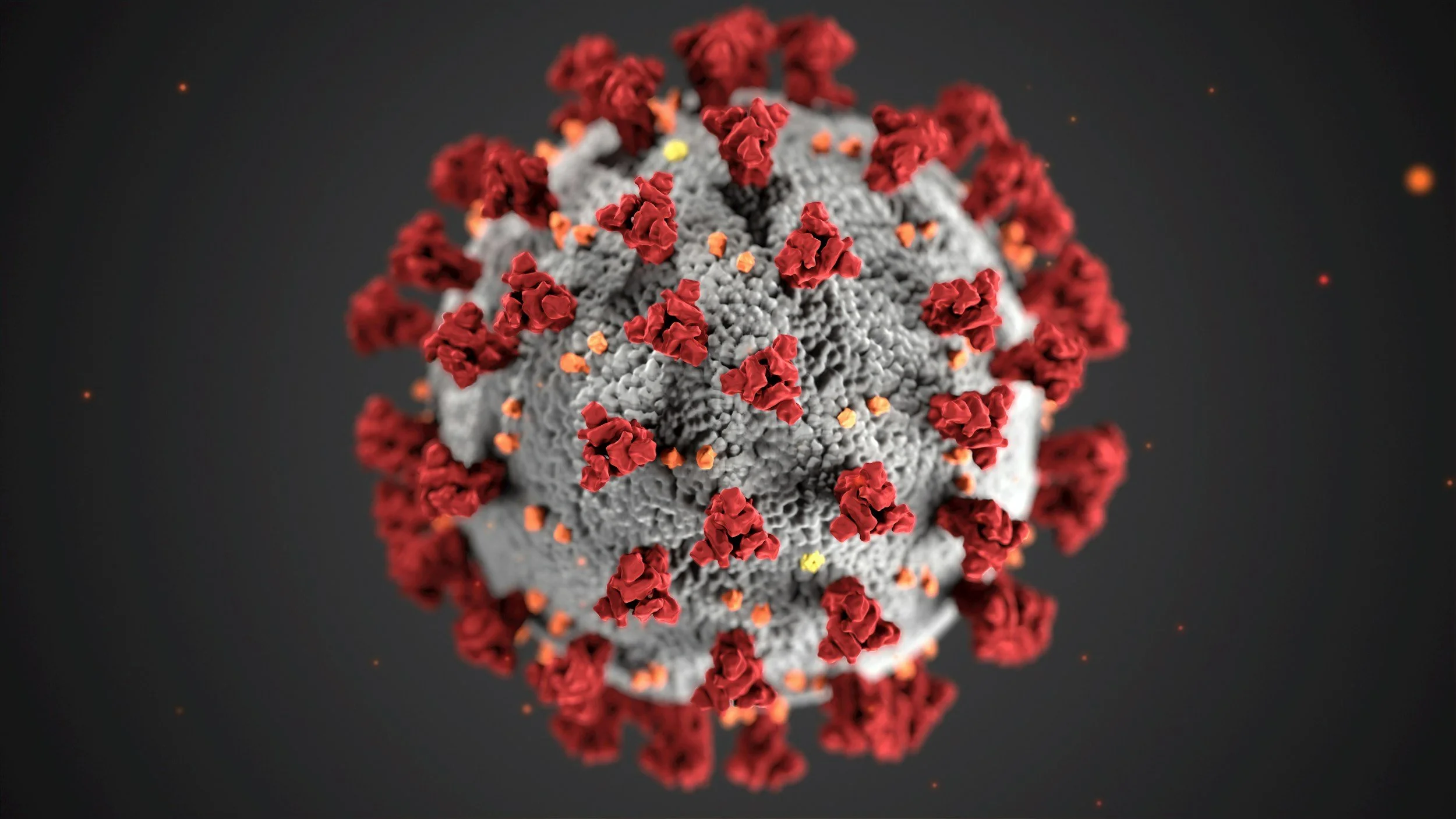 Animal Communications Webinar: Bacteria &amp; Viruses
