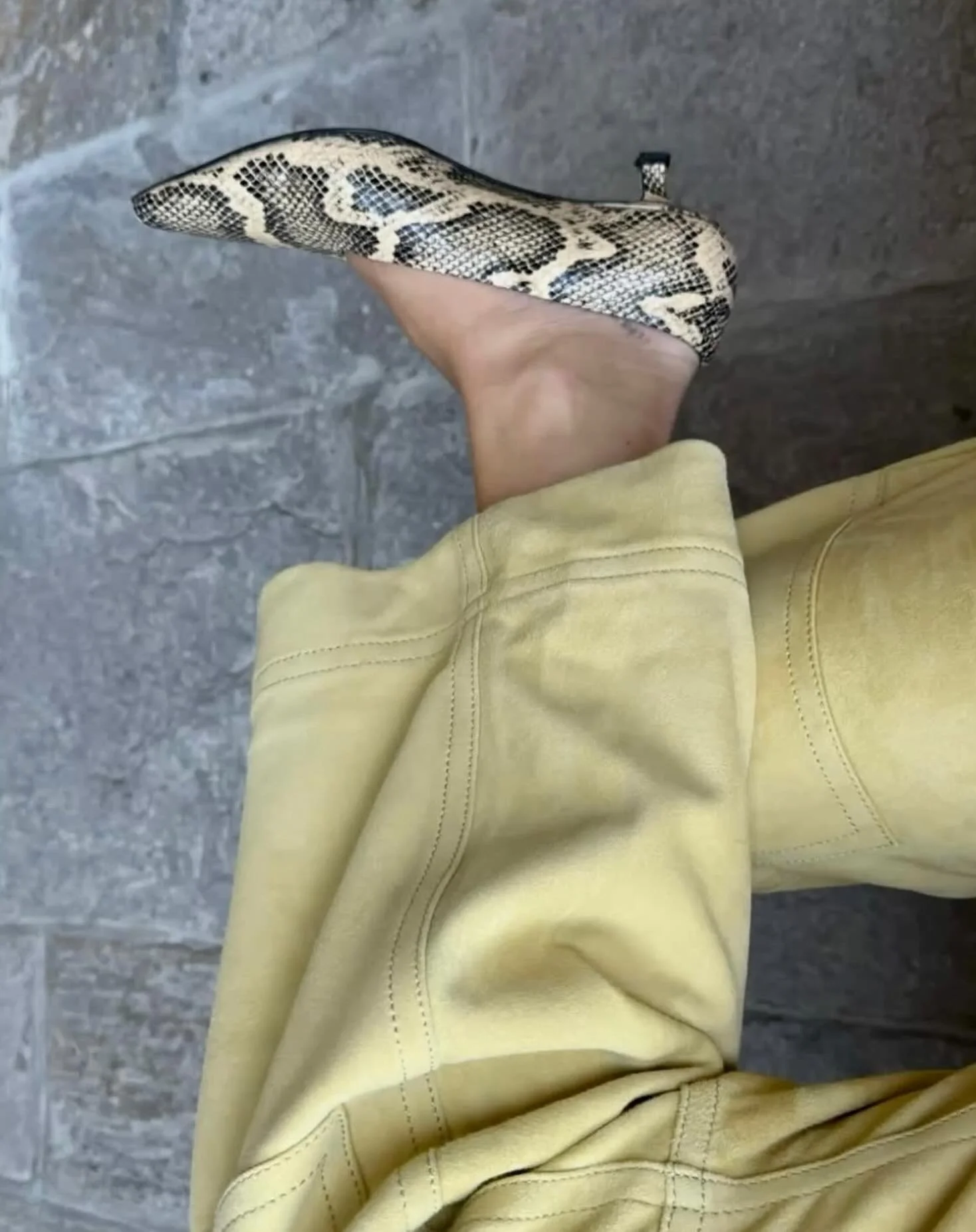 the only snake I&rsquo;d entertain