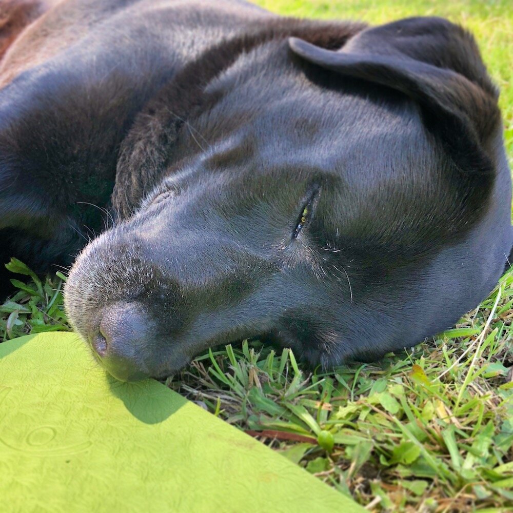 How to get over the guilt, and rest