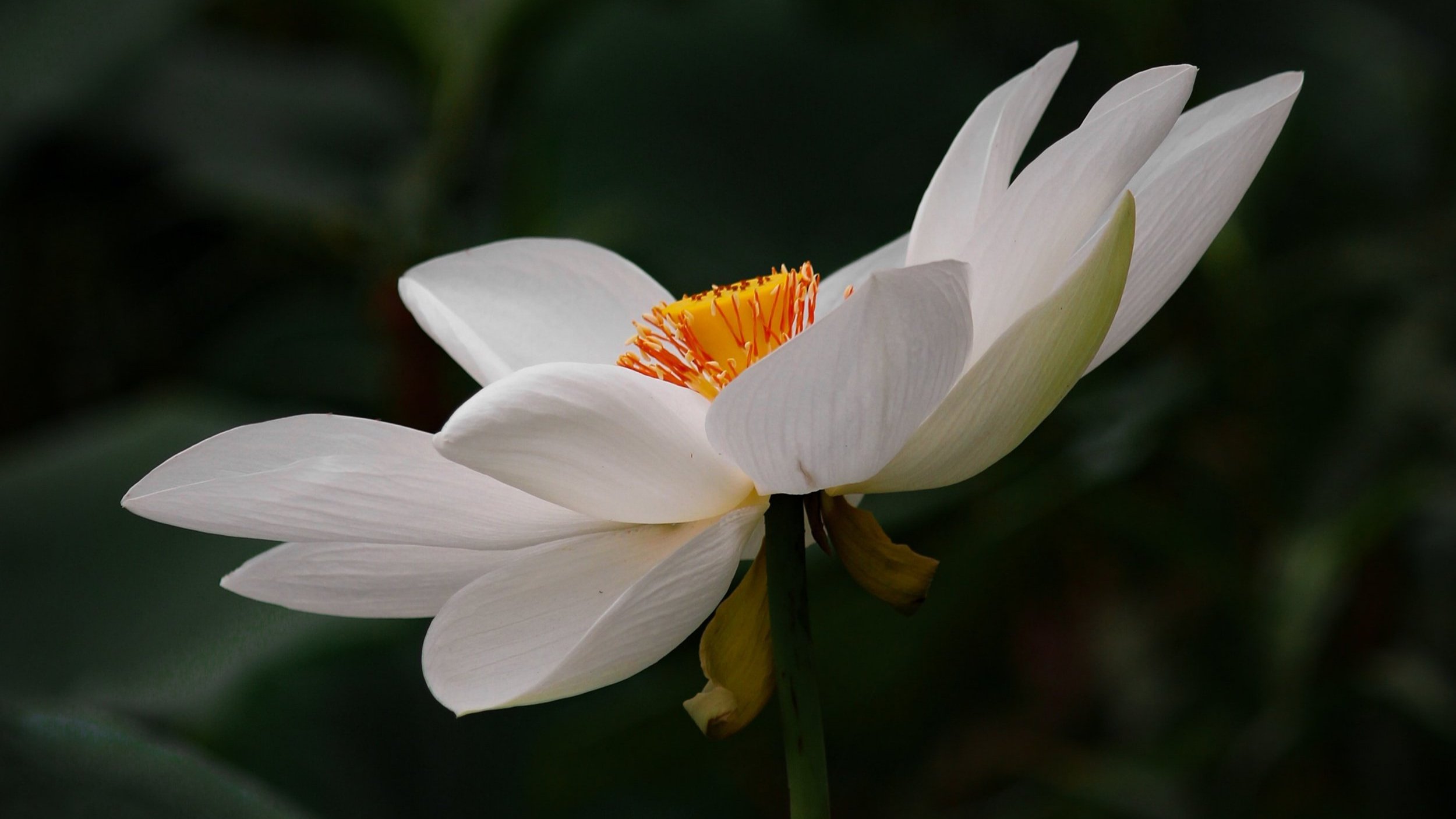 3 body-based practices for finding your calm