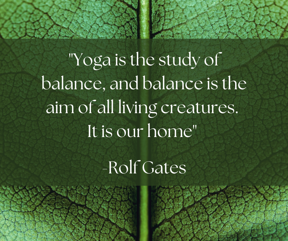Anga bhanga: choosing the yoga practice that's best for you
