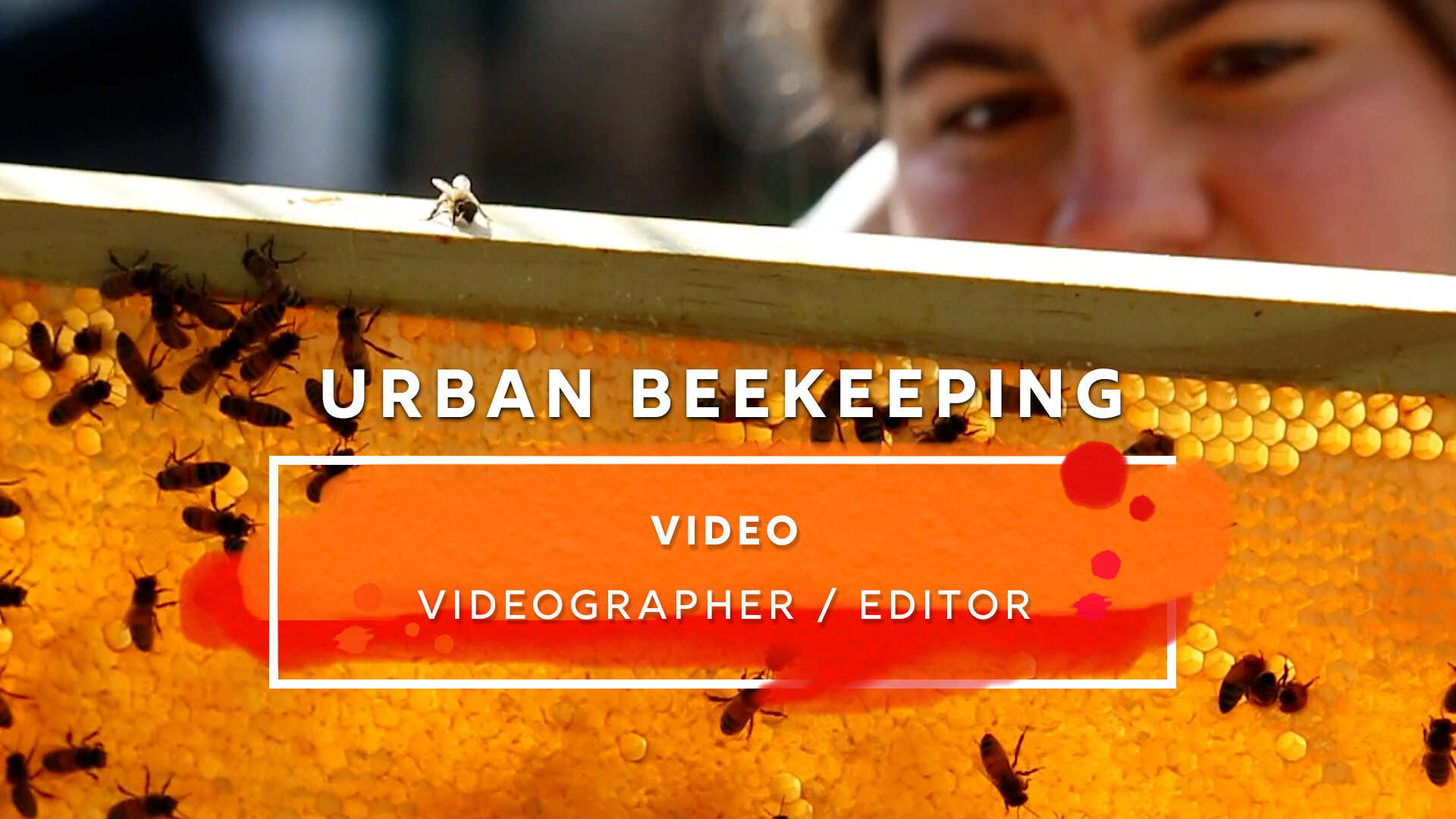 Urban beekeeping - op3.jpg