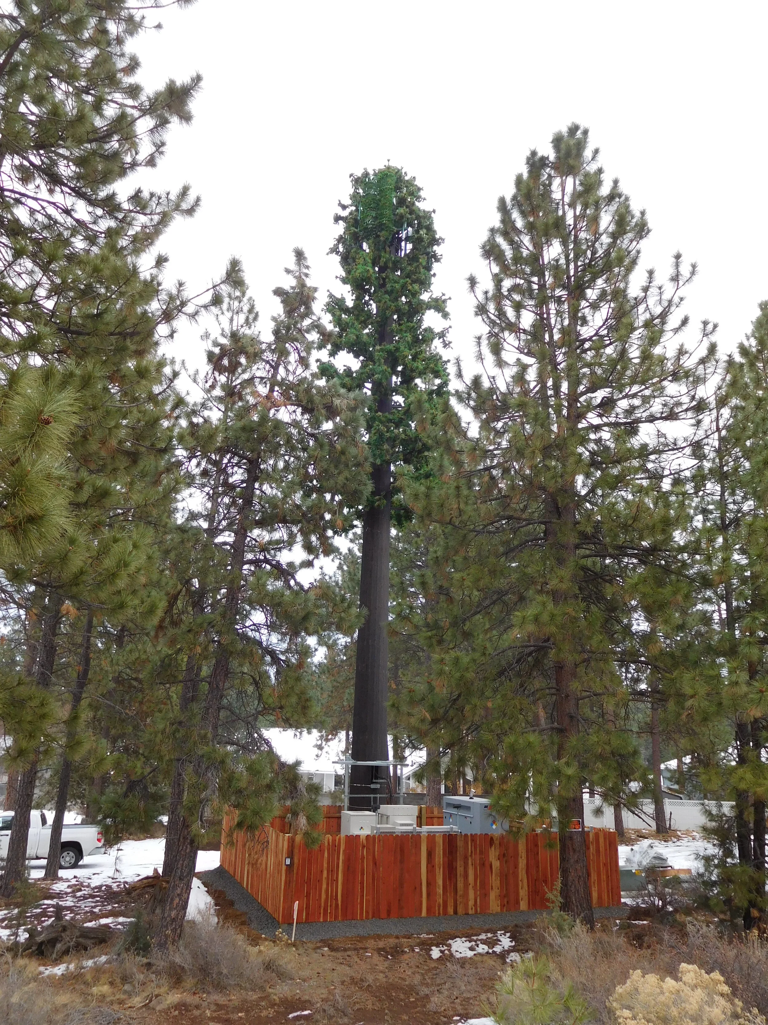 OR6 Elk Meadows - DSCN3040.JPG