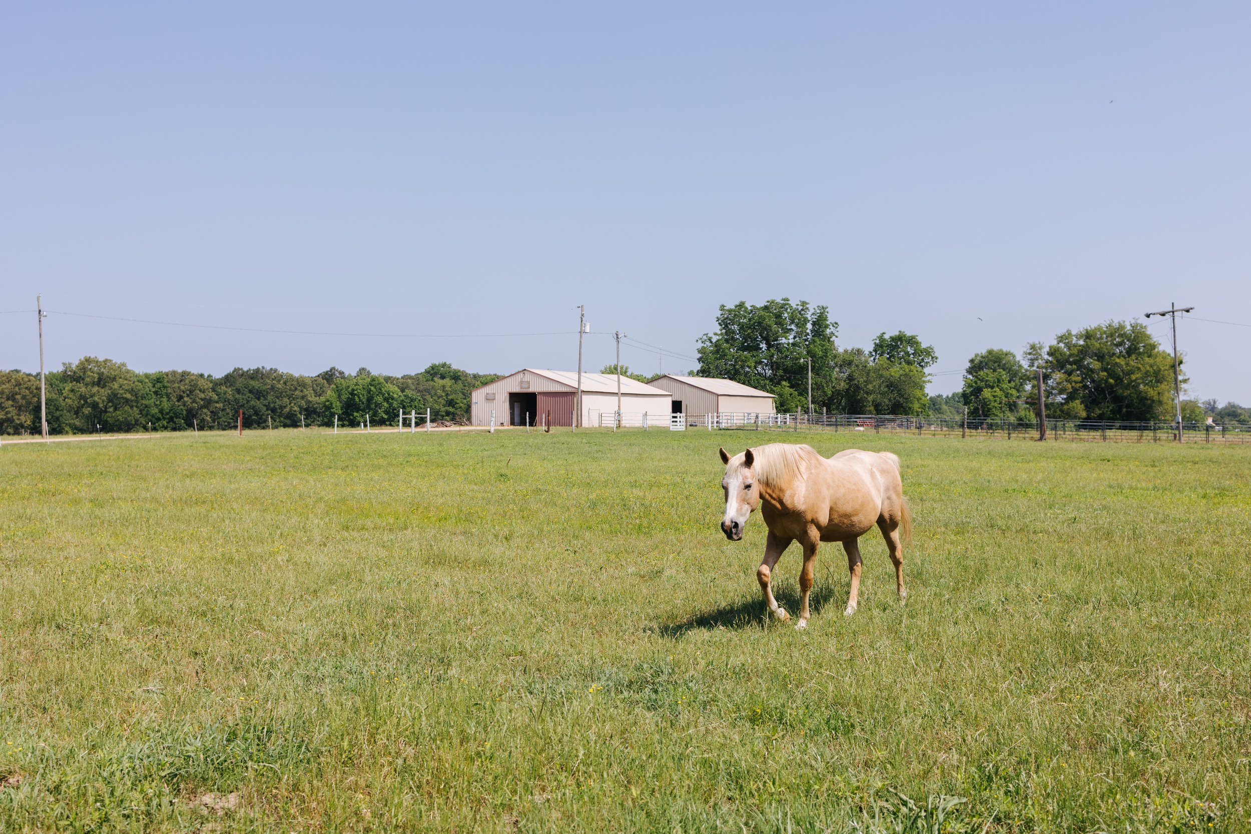 ABCFM Monticello — Arkansas Families