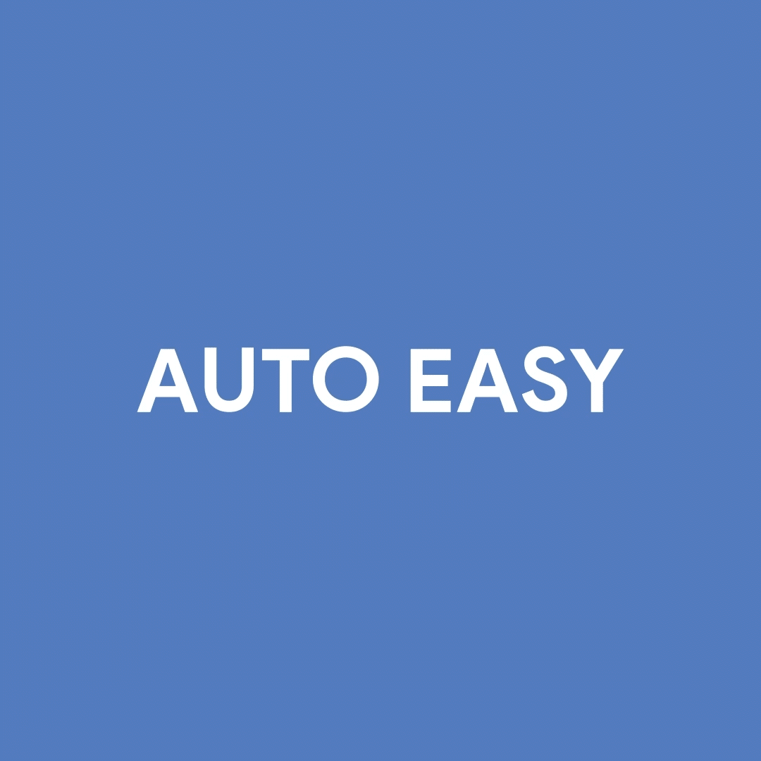 Auto_Easy_Anim_01.gif
