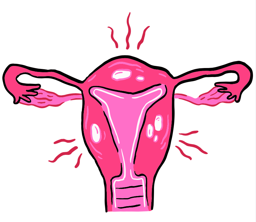 Endometriosis physical therapy